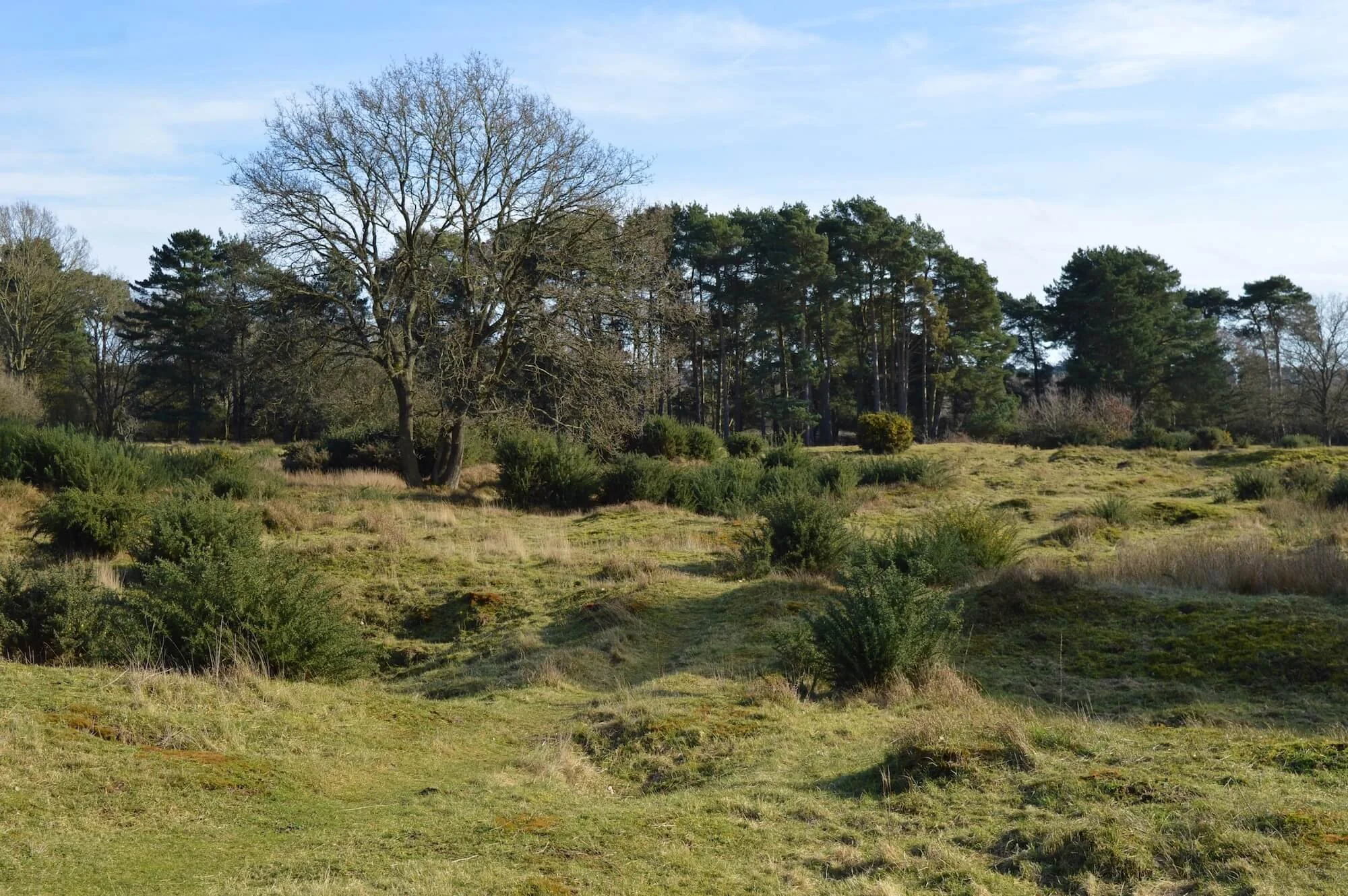 ttsr-castle-hill-thetford-project3.jpg
