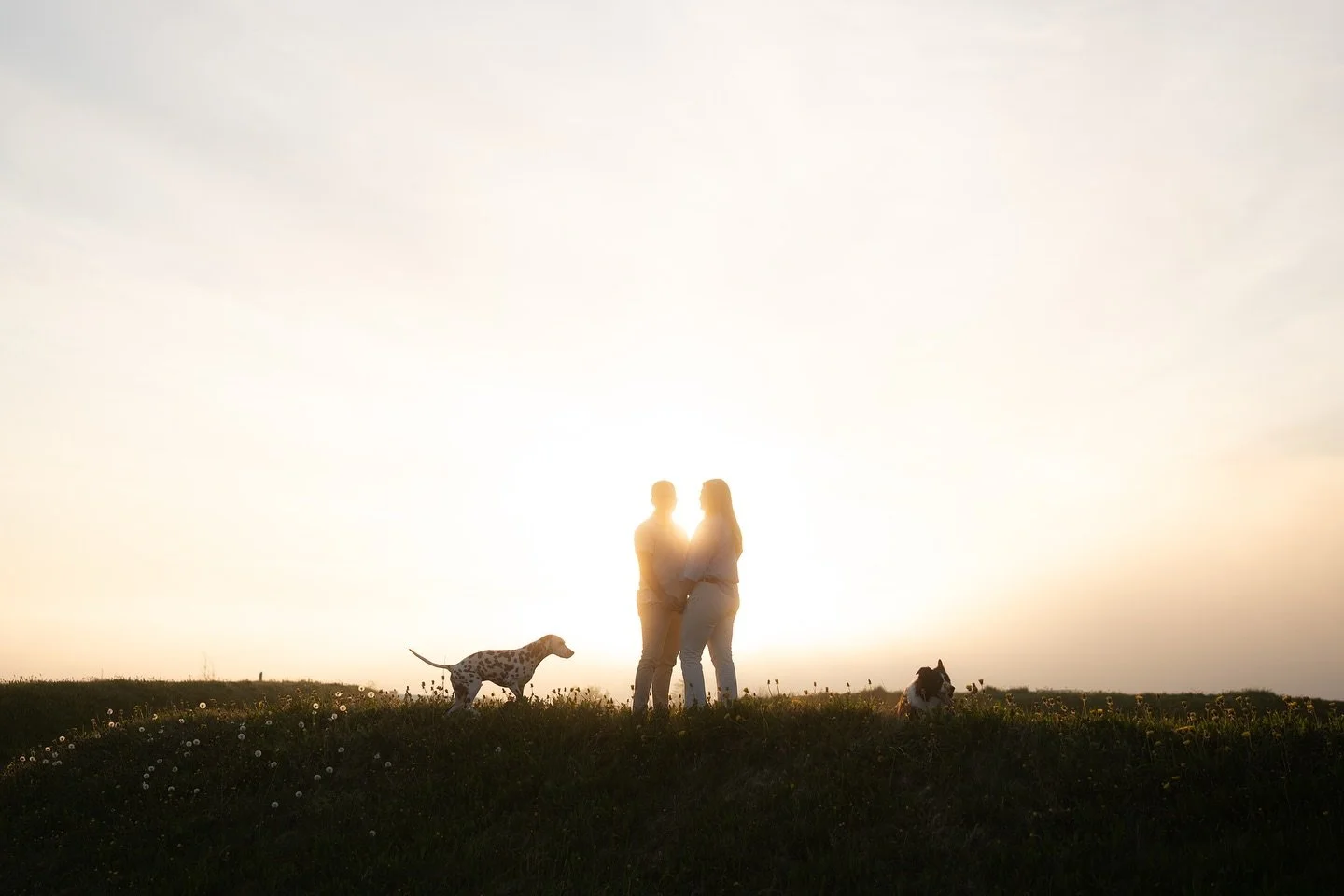 Midnight sunset session in Reykjavik 

May 2025