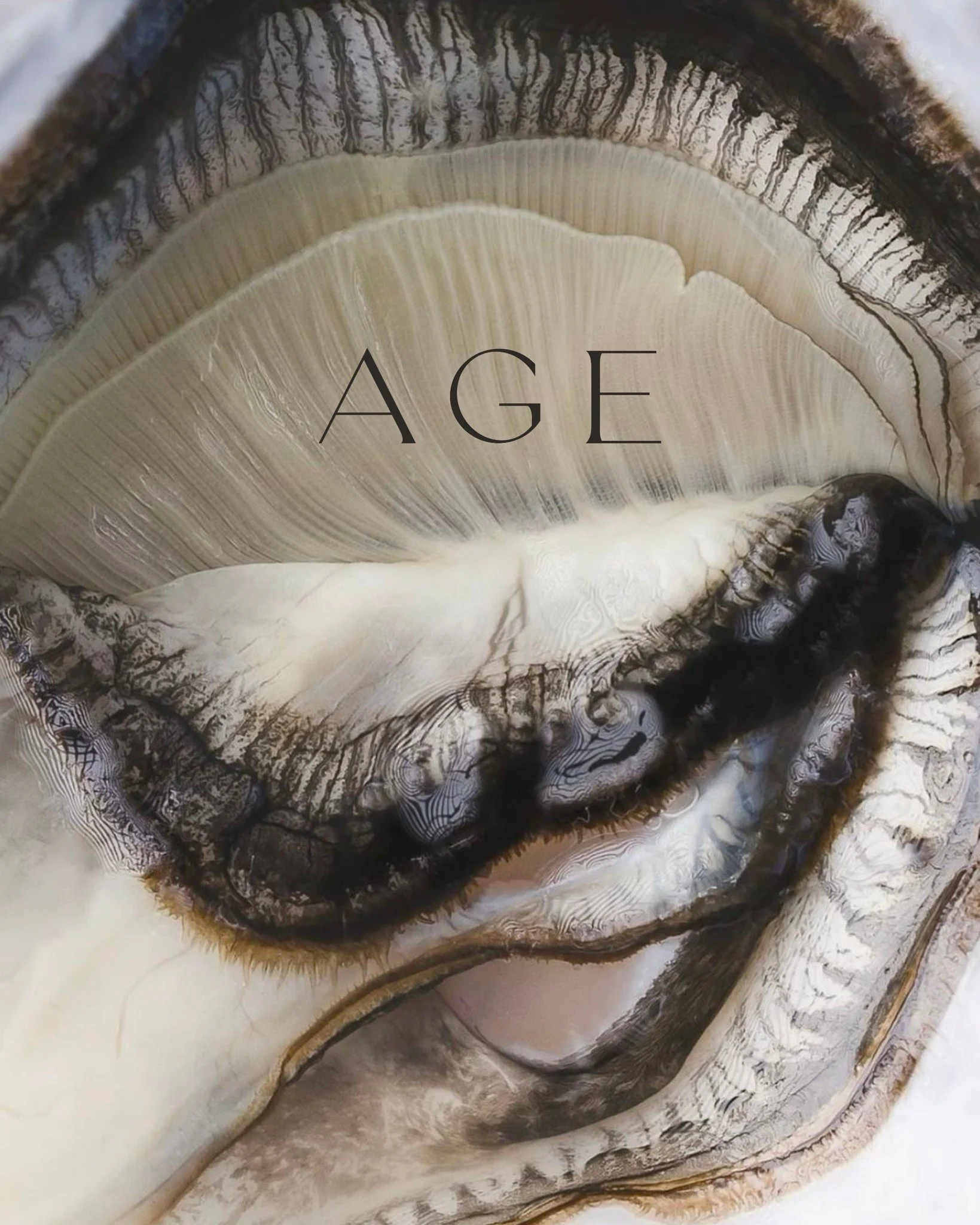 Every Thursday at AGE is devoted to the feminine. 

A weekly space dedicated to healing, nourishment, and reconnection with the body. Our Feminine Healing Thursdays offer: 

&bull; Yoni Steaming &ndash; gentle cleansing and balancing of the womb spac