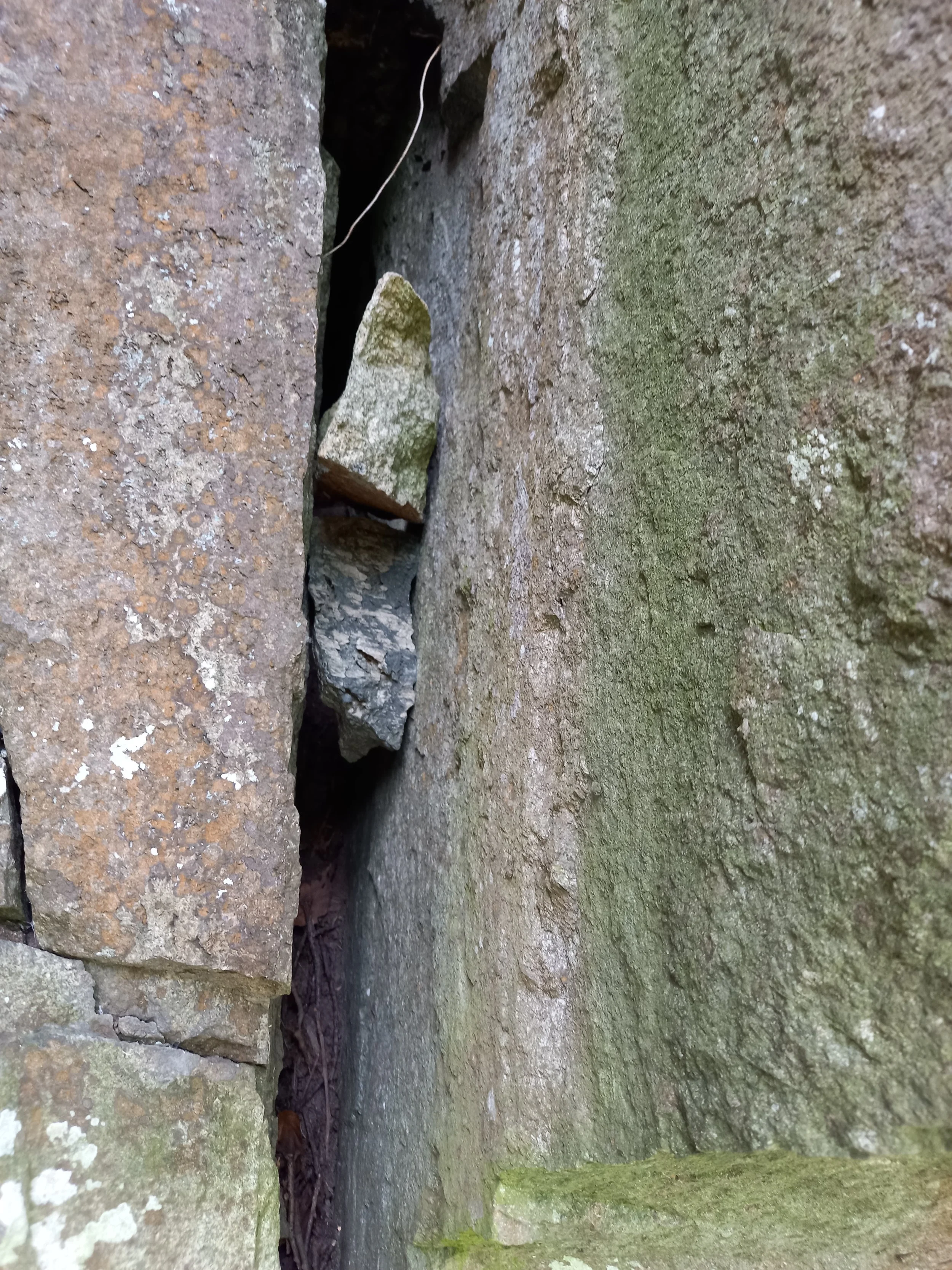 20210812_150441 (1).jpg