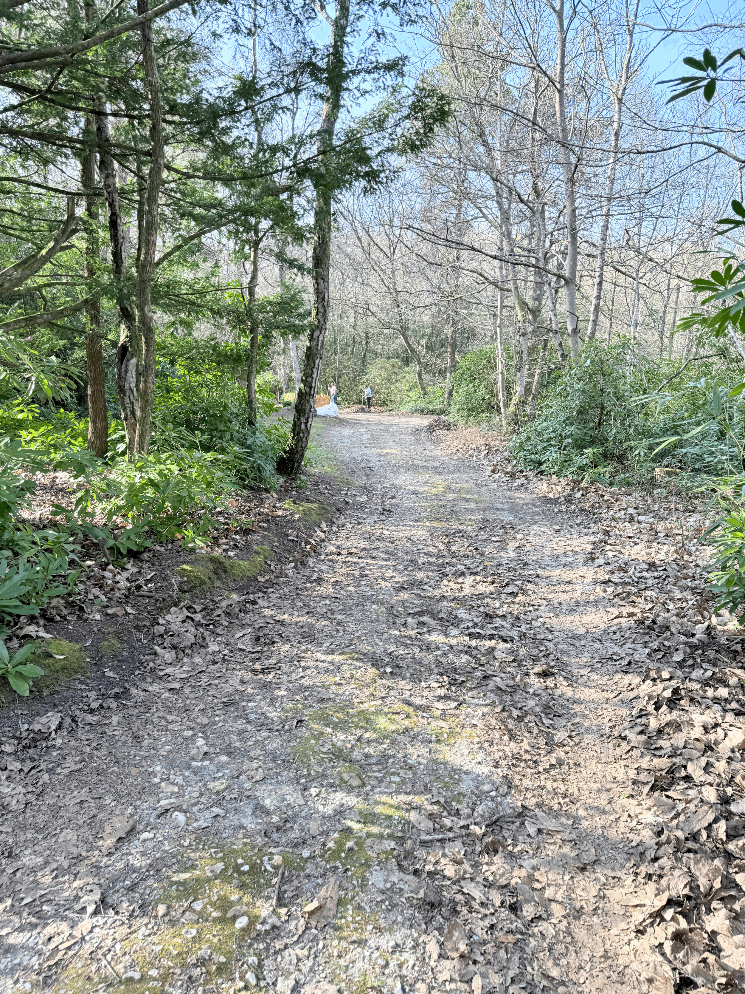 Graffham CCC Working Party April 2025