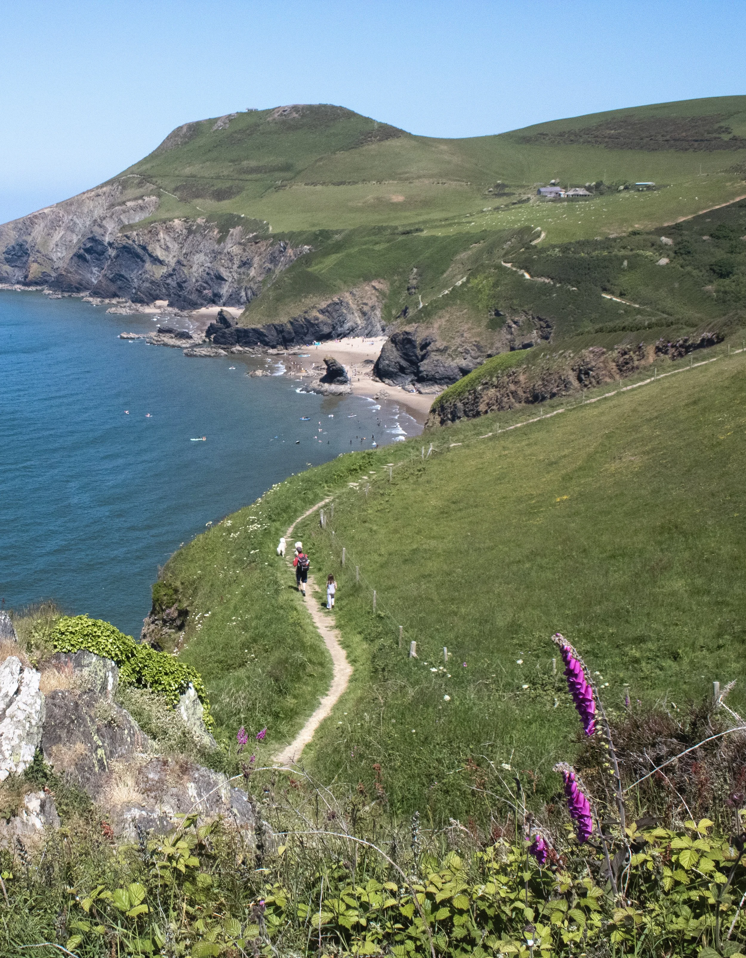 EVENT POSTPONED! Women in Transport Wales Hub - Netwalking with Women in History - Cranogwen