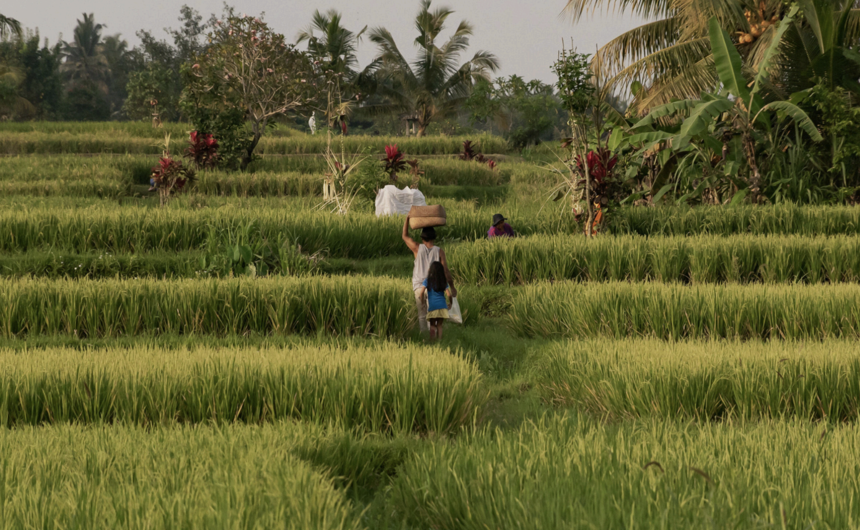 Screenshot 2024-08-06 at 5.22.14 pm.png