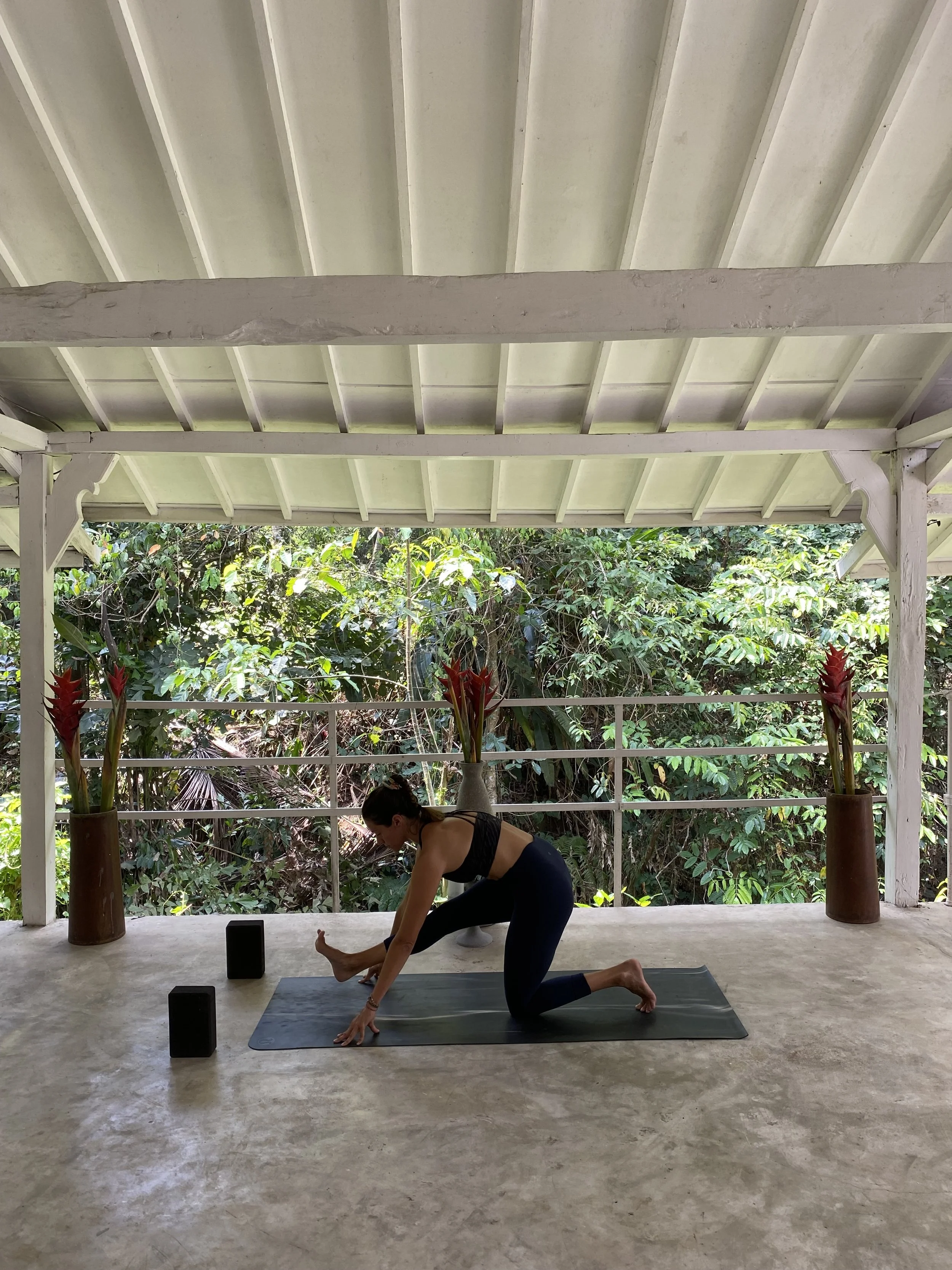 5 · ladder flow · root to rise