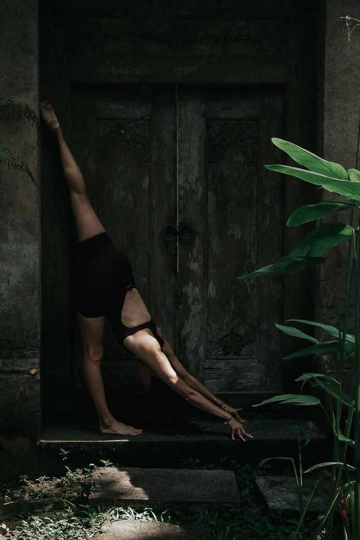 4 · hips · ladder to Super Warrior