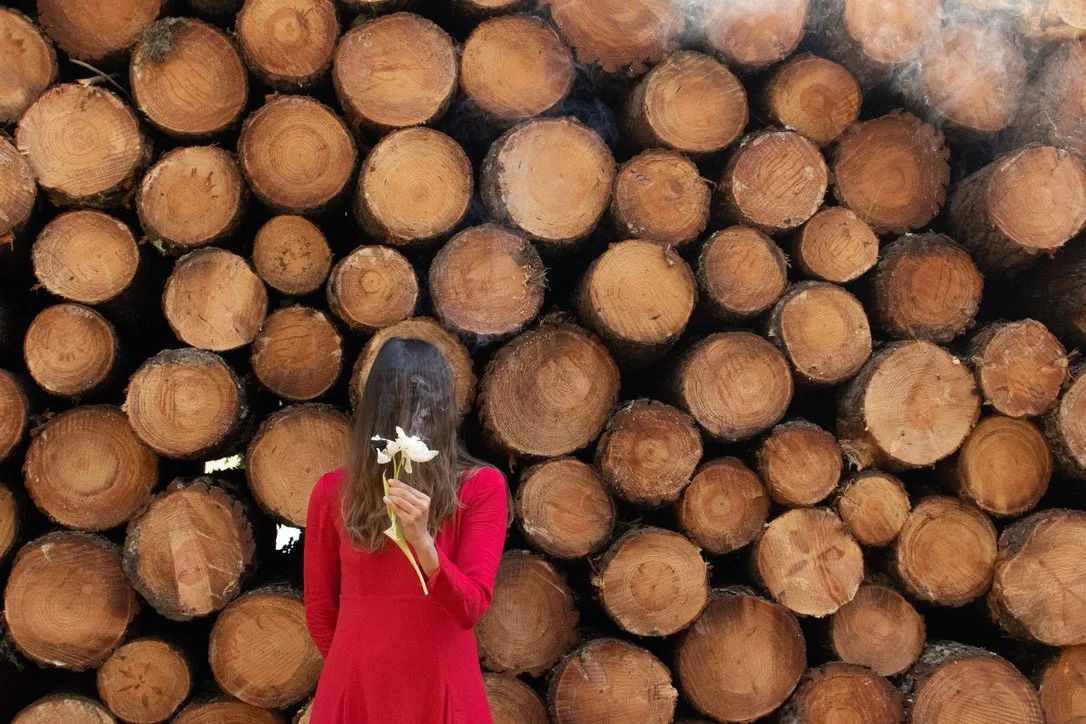 13 · sunkissed · spacious