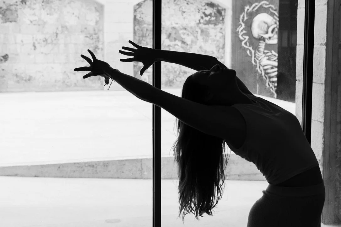 14 · kit fonctionnel · colonne vertébrale