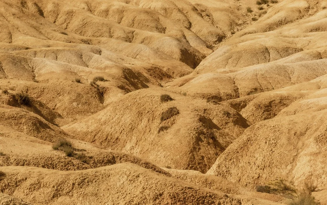 21 · yin yang · uranus flow