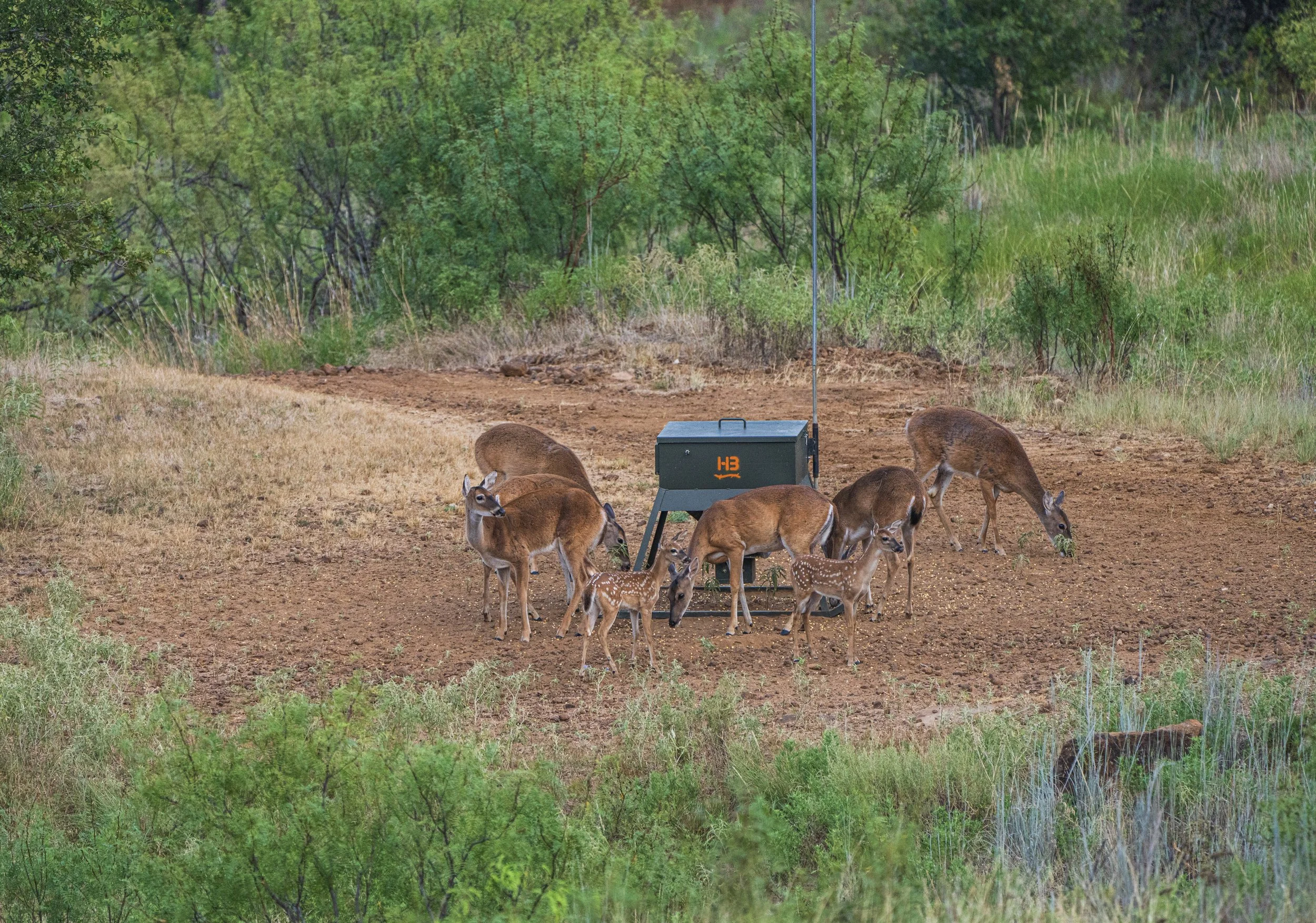 HB Hunting Products | Enhance Your Hunt Today — HB Hunting Ranch Main