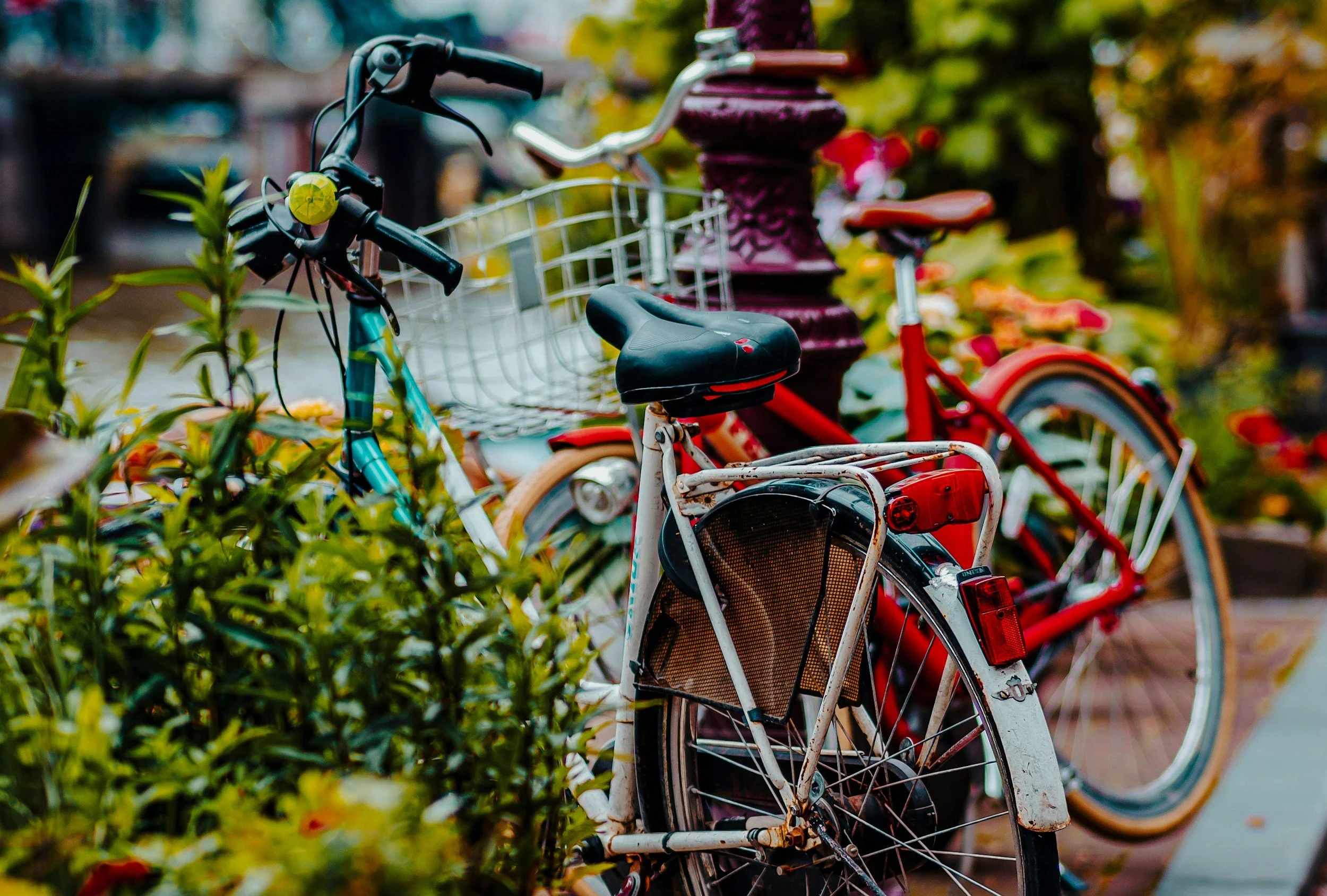 Two bicycles, one red and one white, parked outdoors among green plants and flowers, with yellow and purple bushes in the background.