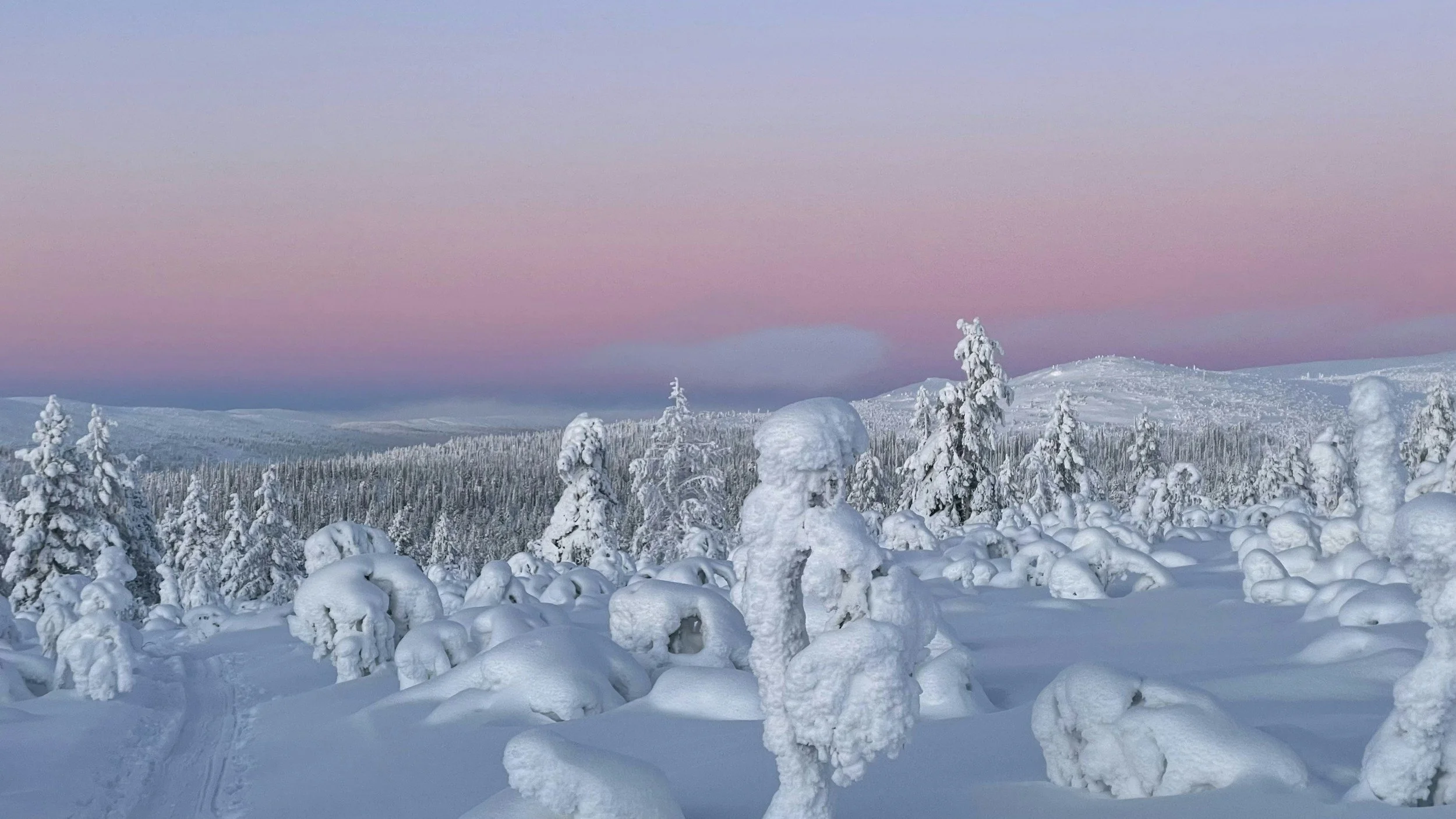 Snow-covered trees in a winter landscape under a pink and blue sky.