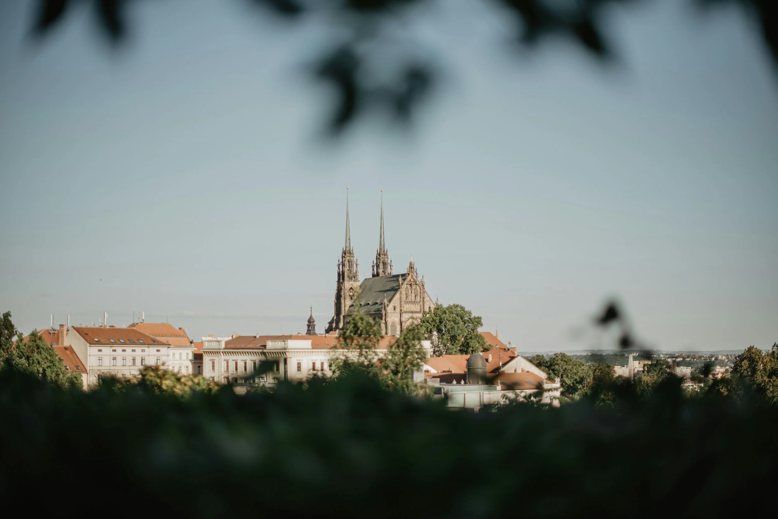 View of a historic church with tall spires, surrounded by a cityscape with red-roofed buildings, seen through foliage and leaves in the foreground.