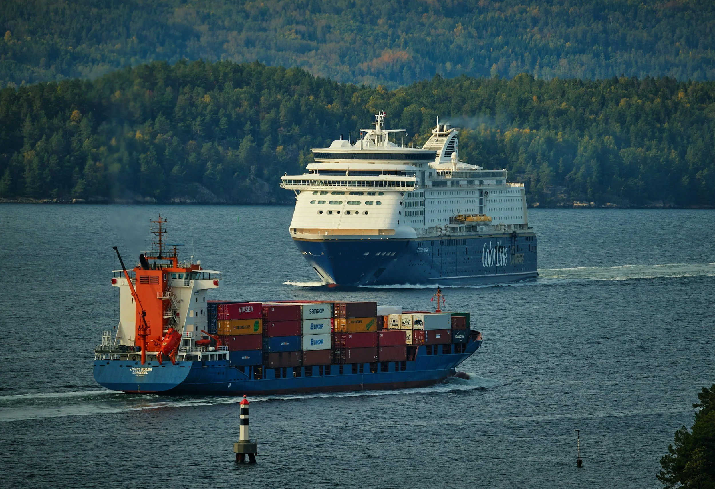 A large cruise ship sailing in a body of water, with a smaller cargo ship nearby carrying stacked containers. The background shows forested hills and mountains.