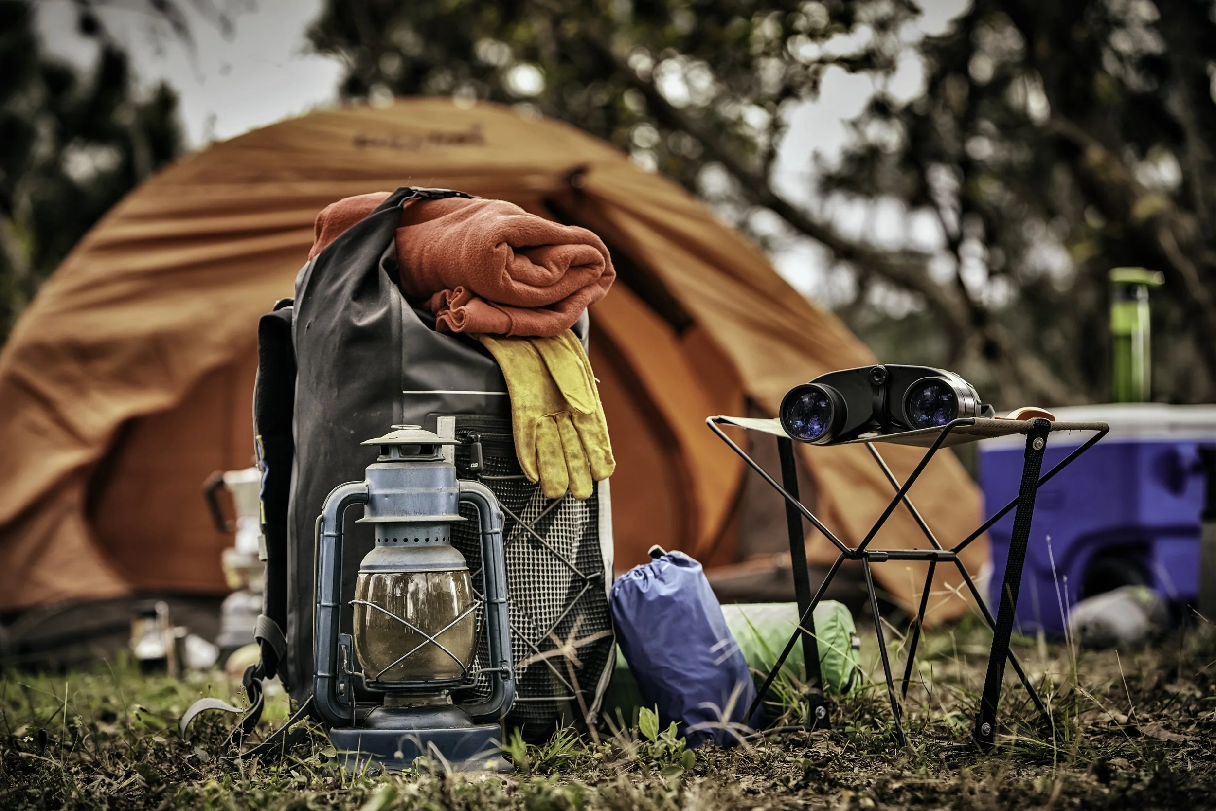 iStock-1208912873.jpg