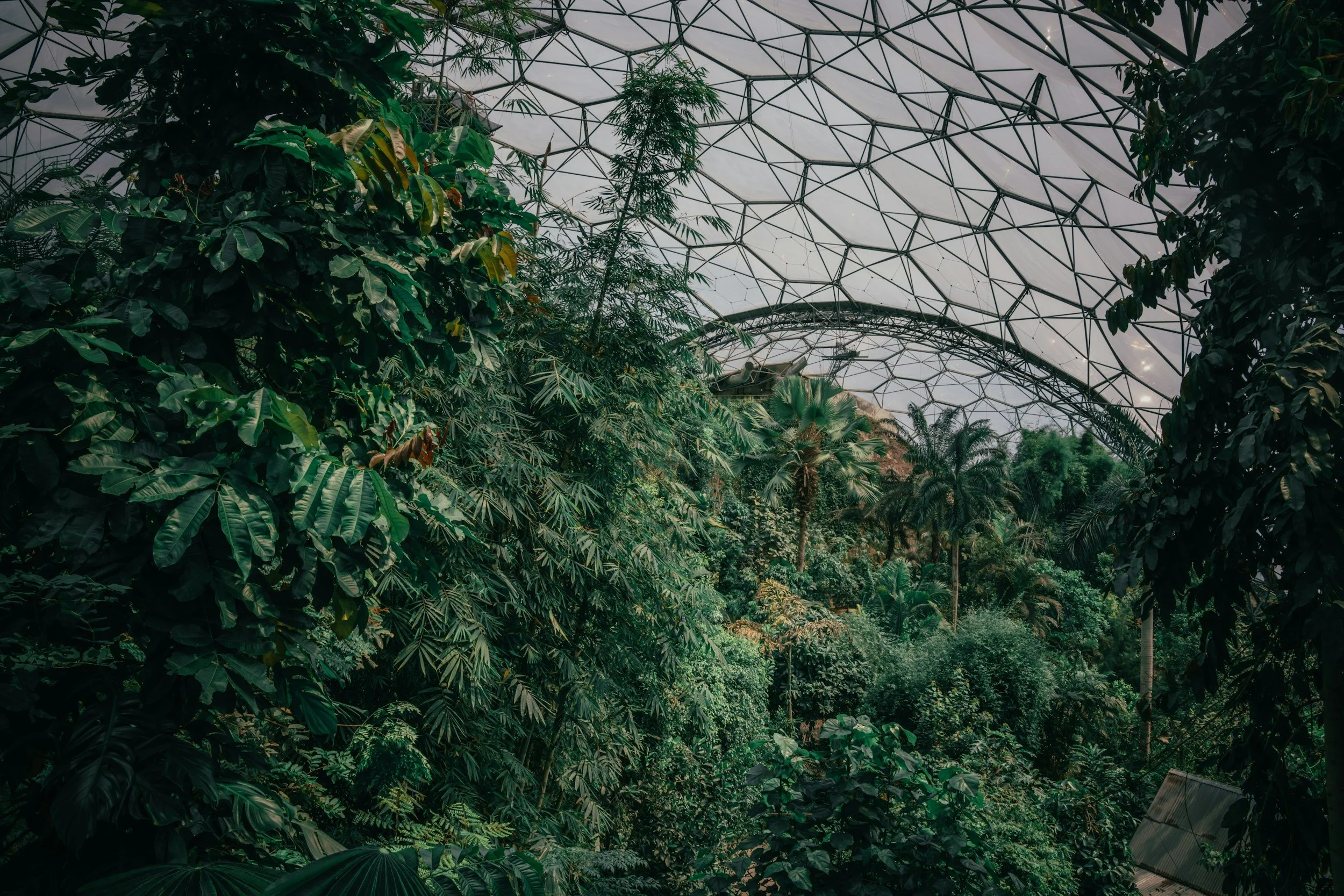 unsplash-image-LYRAqrSq9Q4.jpg
