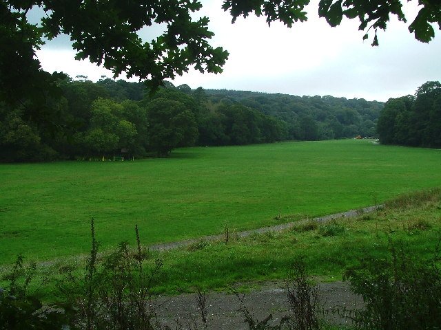Newnham.jpg
