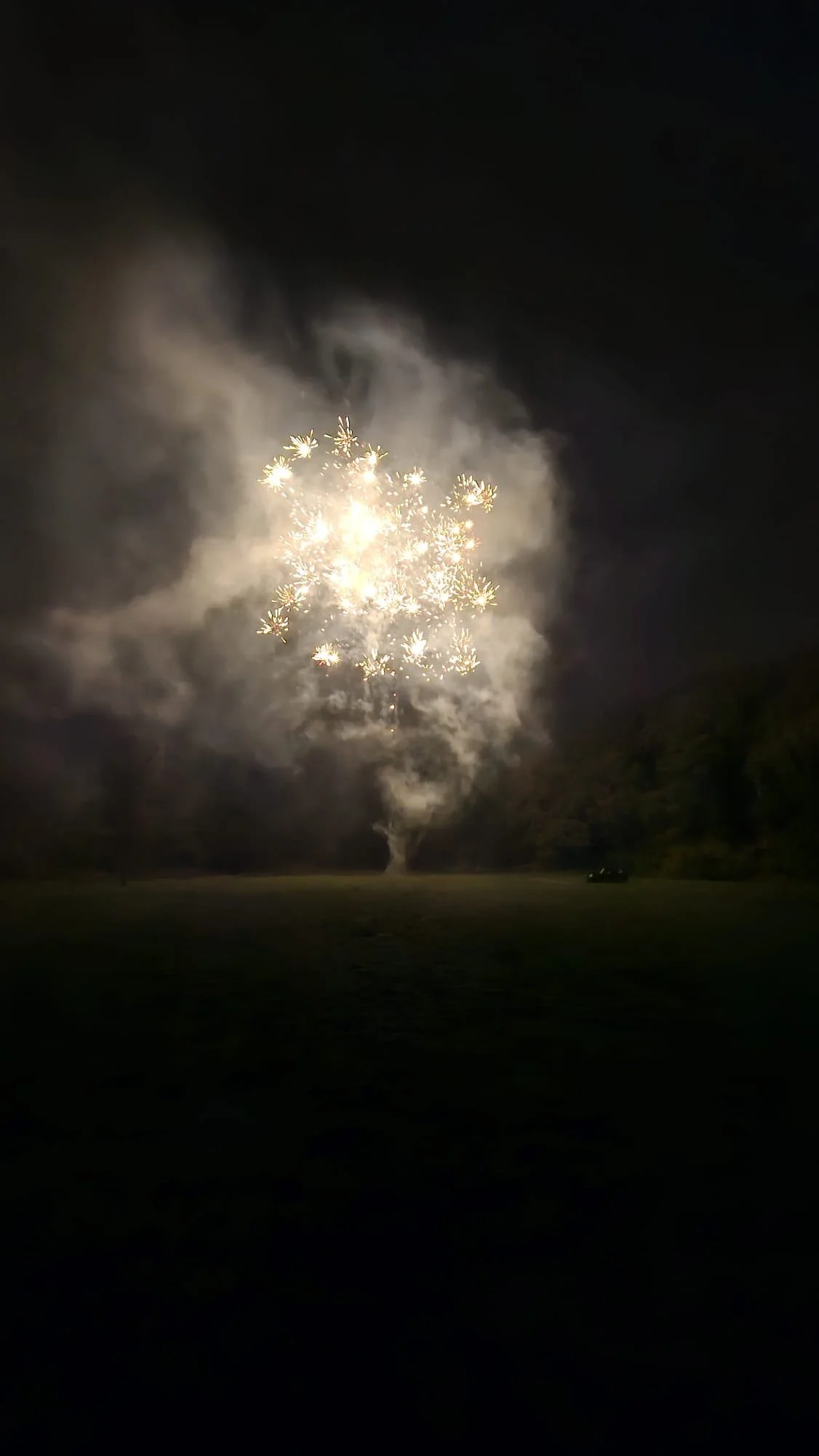 Firework24.jpg