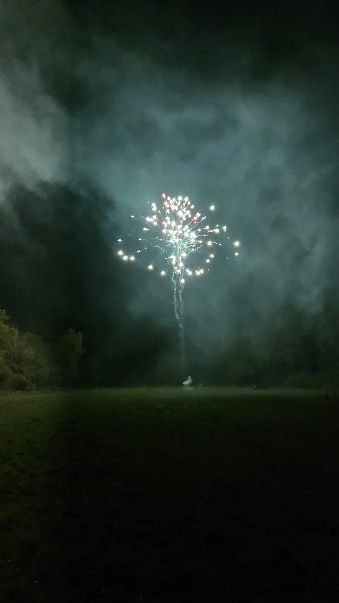 Firework24b.jpg