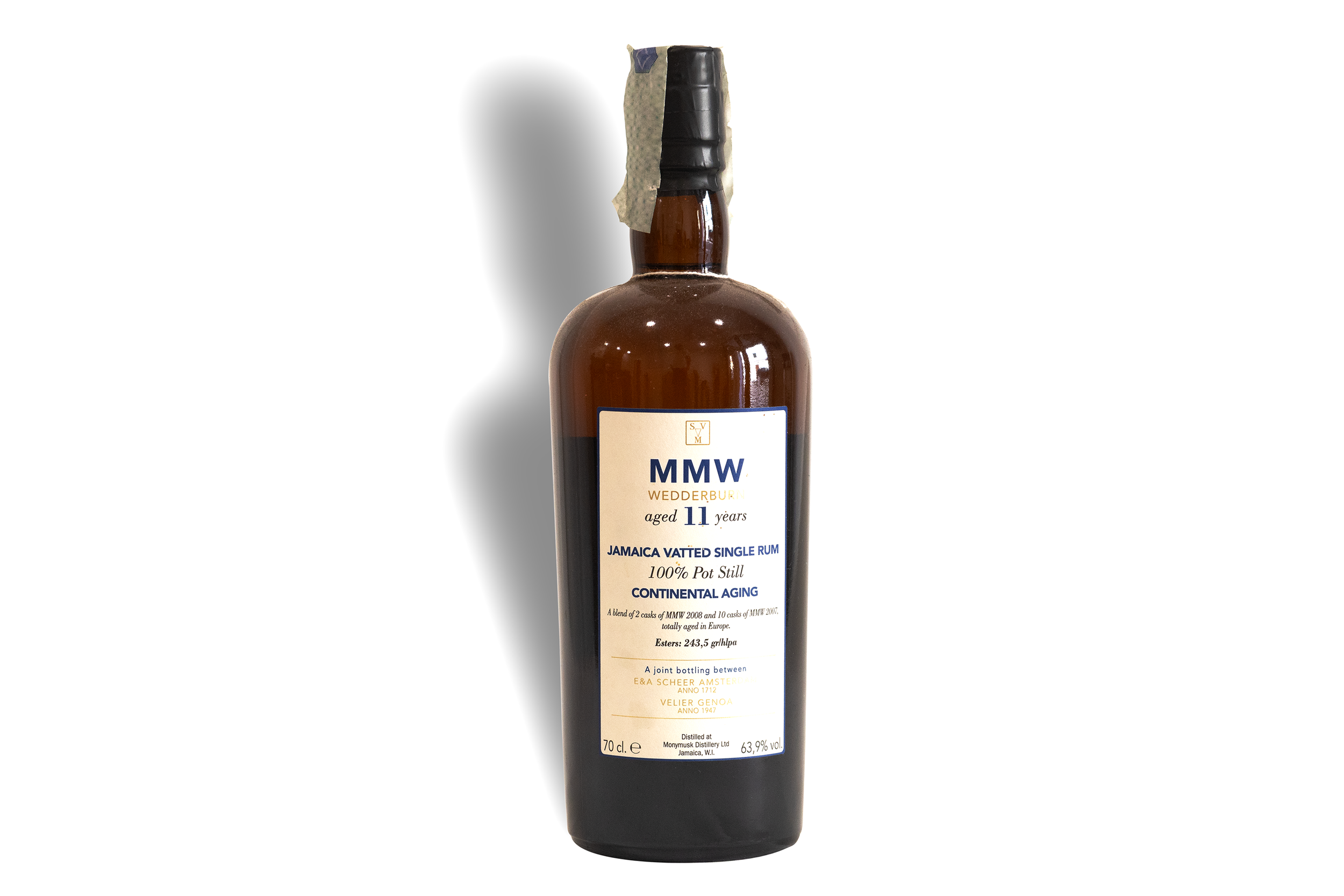 Monymusk mmw continental 11yo