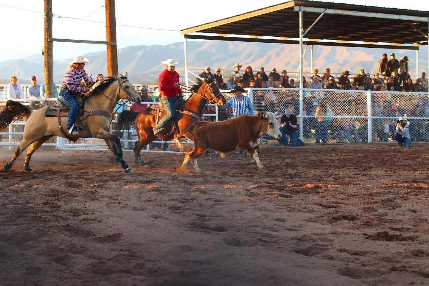 Royal Gorge Rodeo | Canon City | Colorado | 2024
