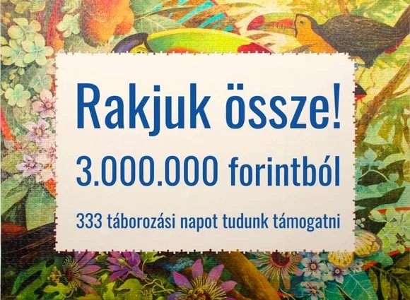 Rakjuk össze! adománygyűjtő kampány