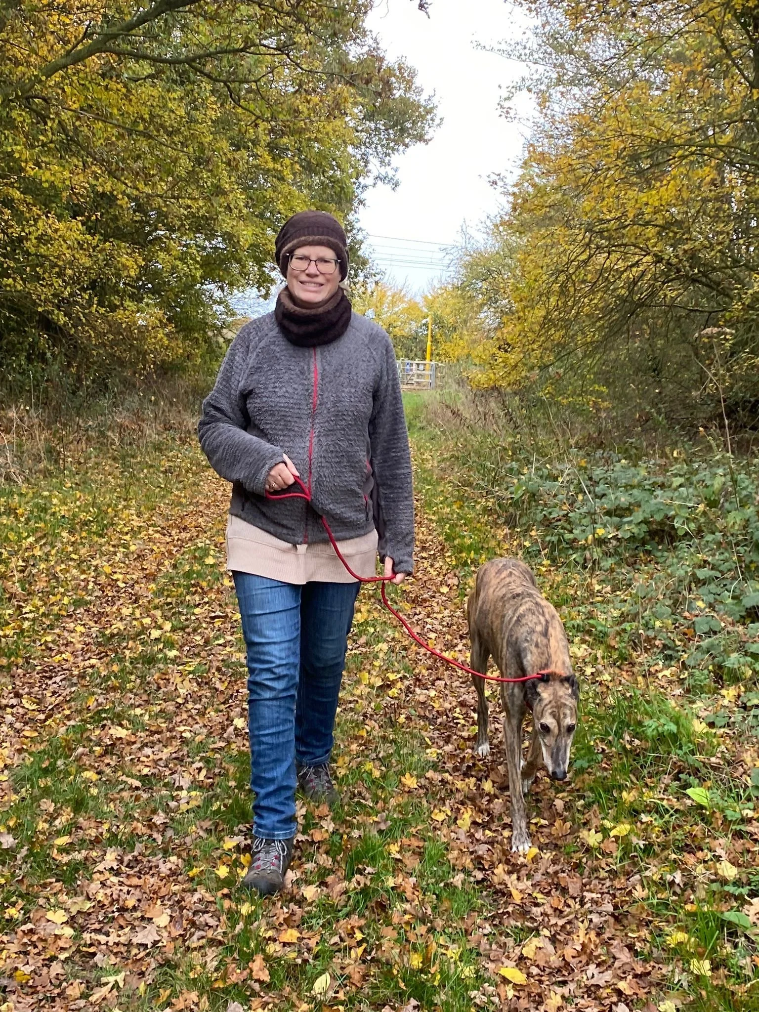 A light skinned woman in jeans and a grey fleece coat walks a brindle greyhound on a leafy autumn path between trees. The greyhound keeps pace with her in a loose leash walk. 