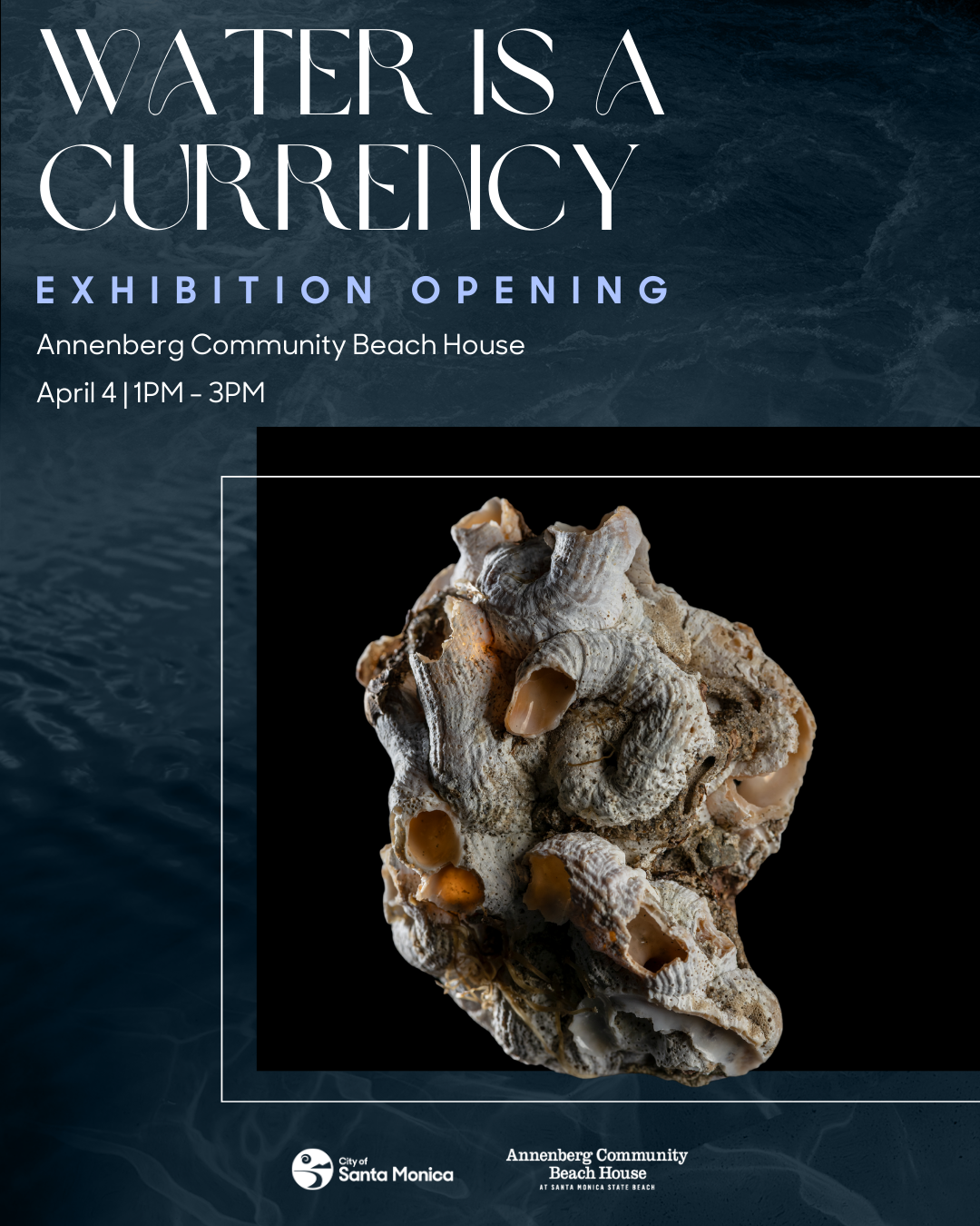 Water Is A Currency Exhibit - Annenberg Beach House