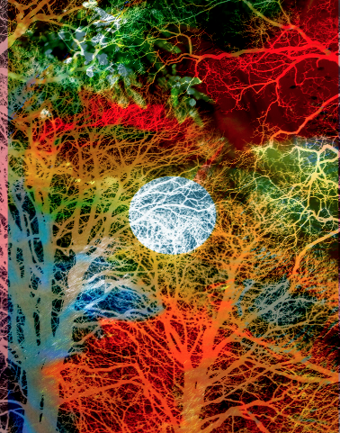 Colorful abstract digital image of trees with neural network patterns and a bright white circle in the center.