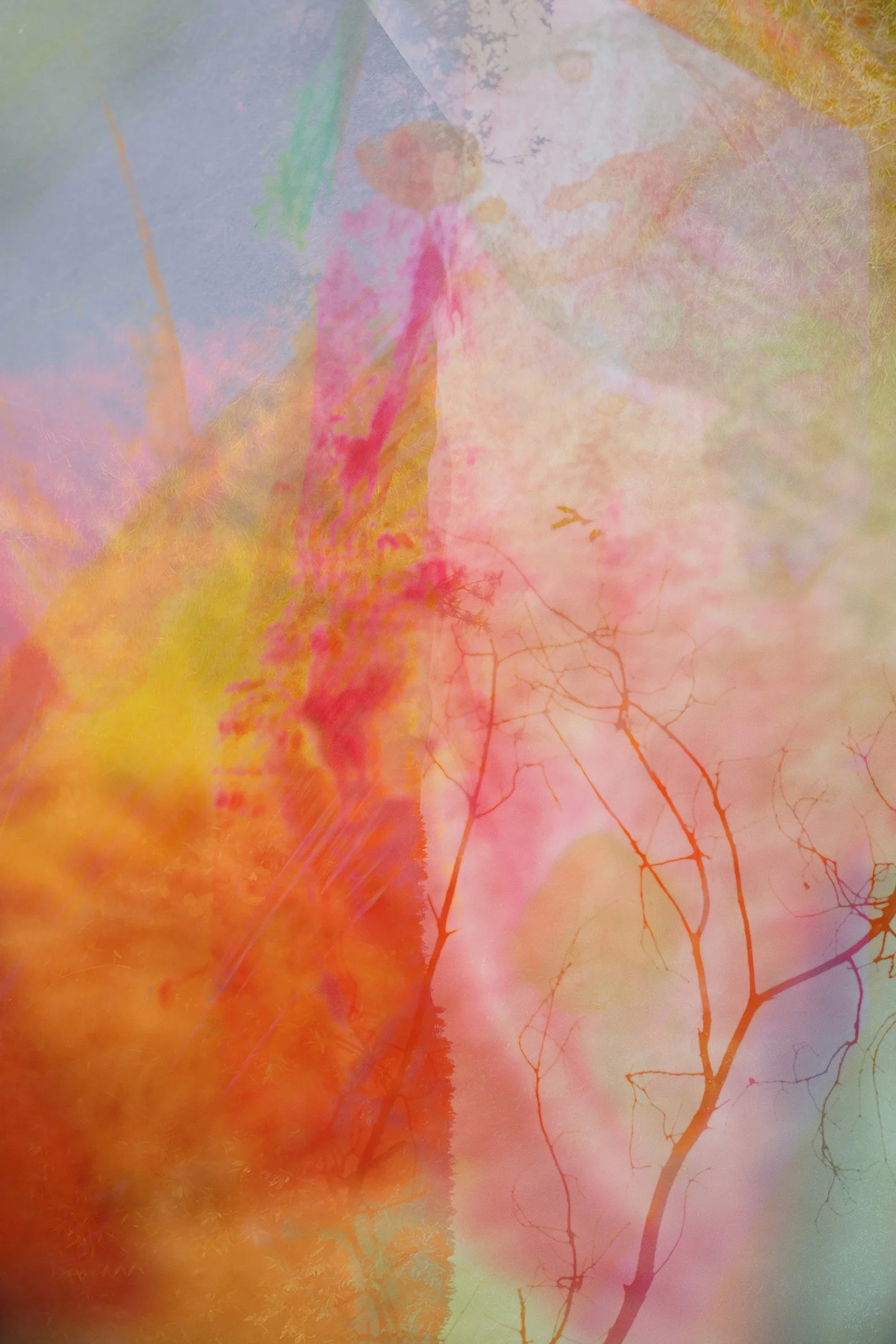 Faith-Ann Young Digital Composite