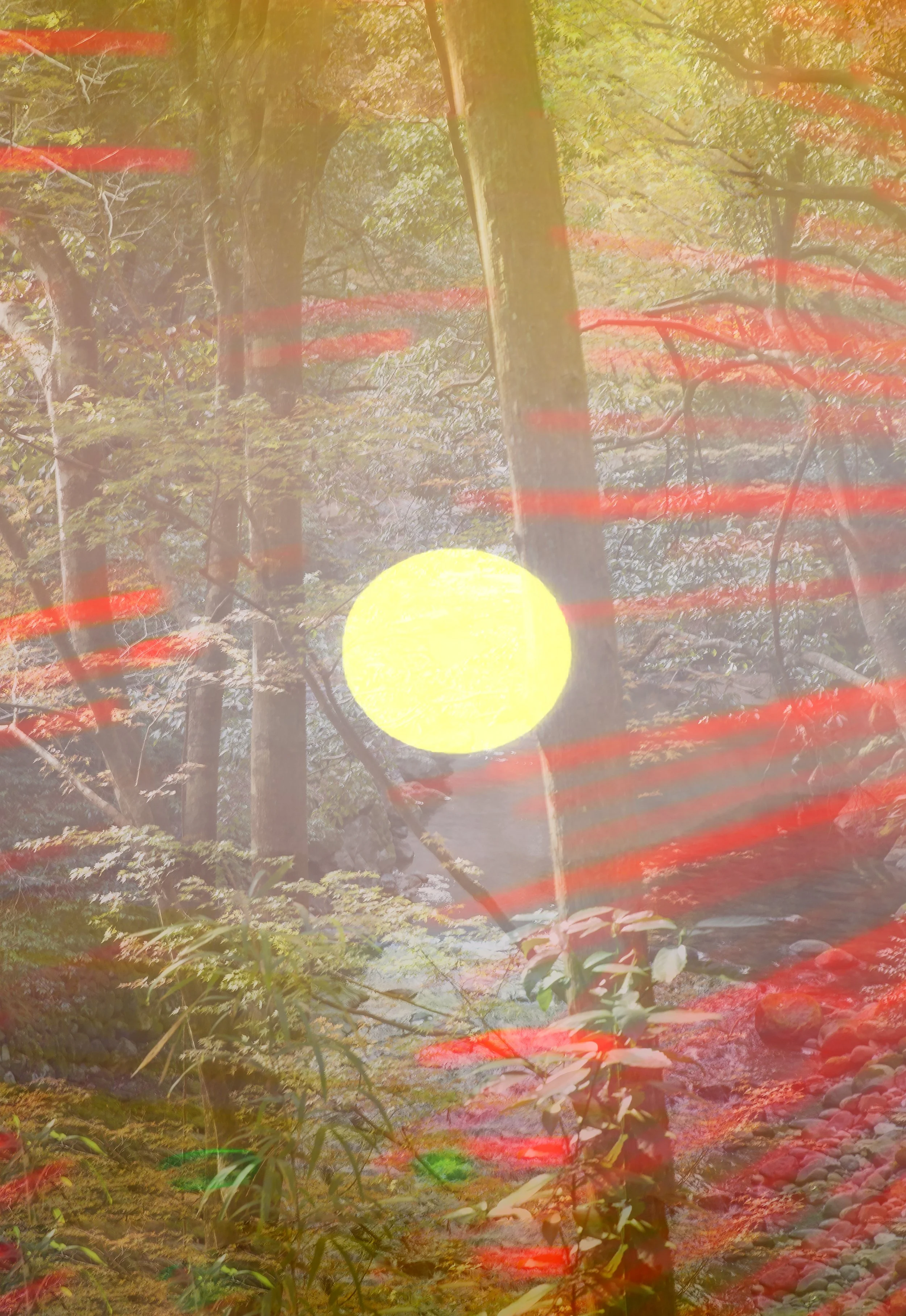 A double exposure image blending a forest scene with a bright yellow sun, during daytime, and red streaks across the image.