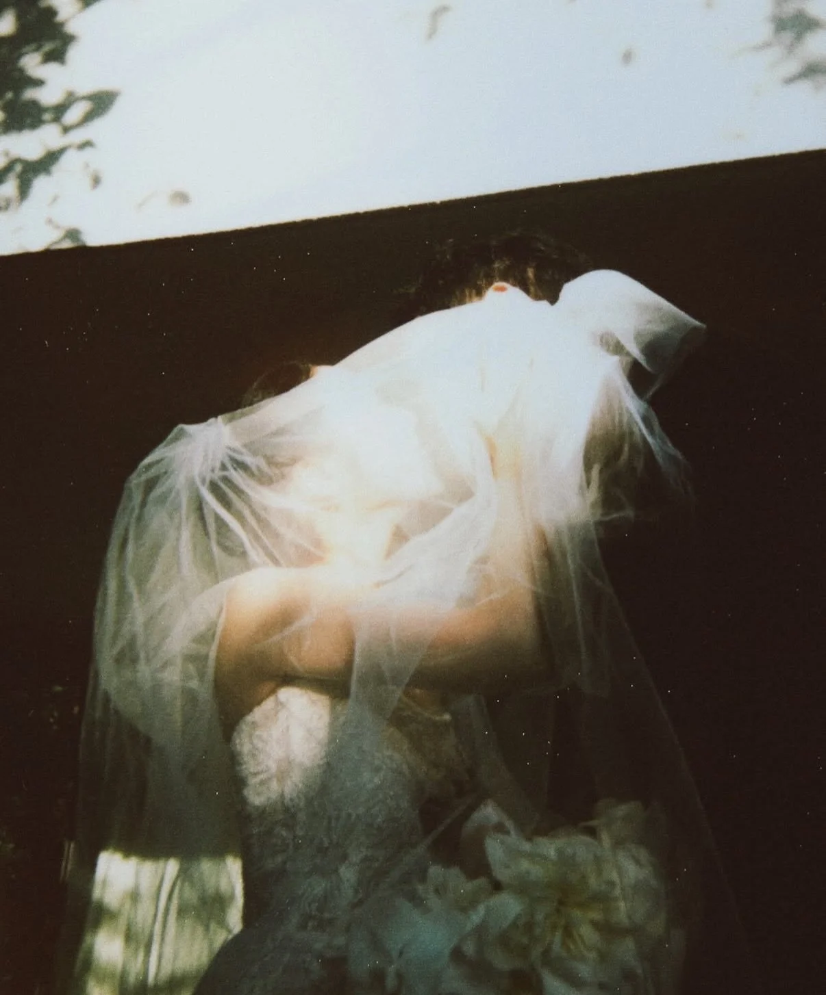 A veiled moment 🕊️ 

Captured beautifully by @noma_lsh