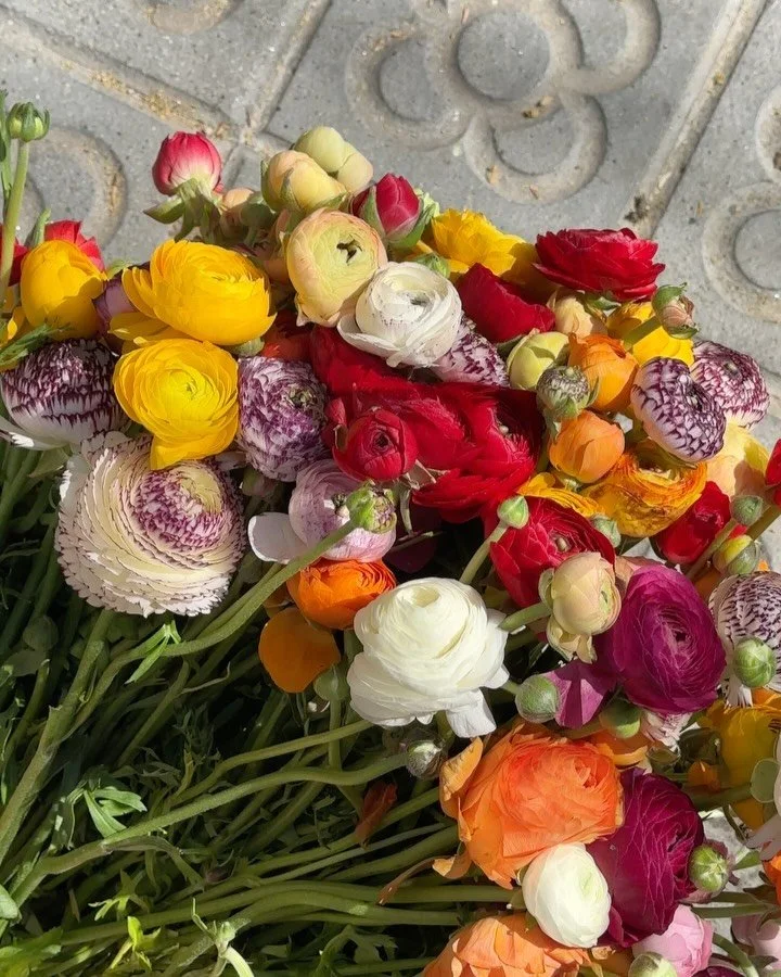 We gave flowers, but received so much more✨&nbsp;peque&ntilde;os gestos, grandes momentos.

It&rsquo;s time to Bloome 🌸

Brunch &amp; Specialty Coffee &middot; 100% Gluten Free