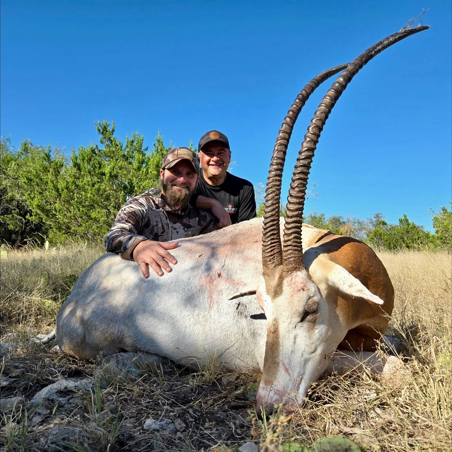 Texas did not disappoint! Took an unforgettable trip with my dad recently. The freezer will be full! #texas #scimitar #family #goodtimes #memories