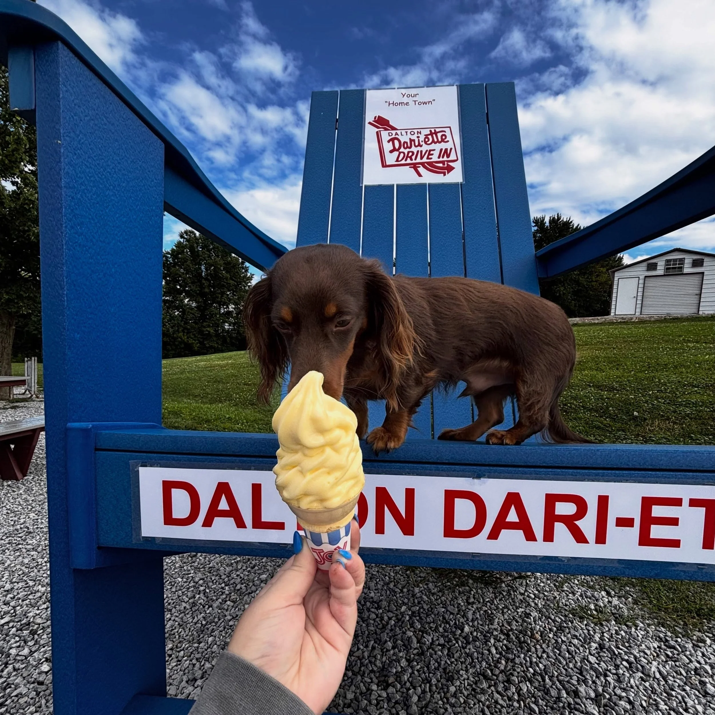 Have you seen our new seating option? Tag us with your pics. #daltondariette Bradley likes it!