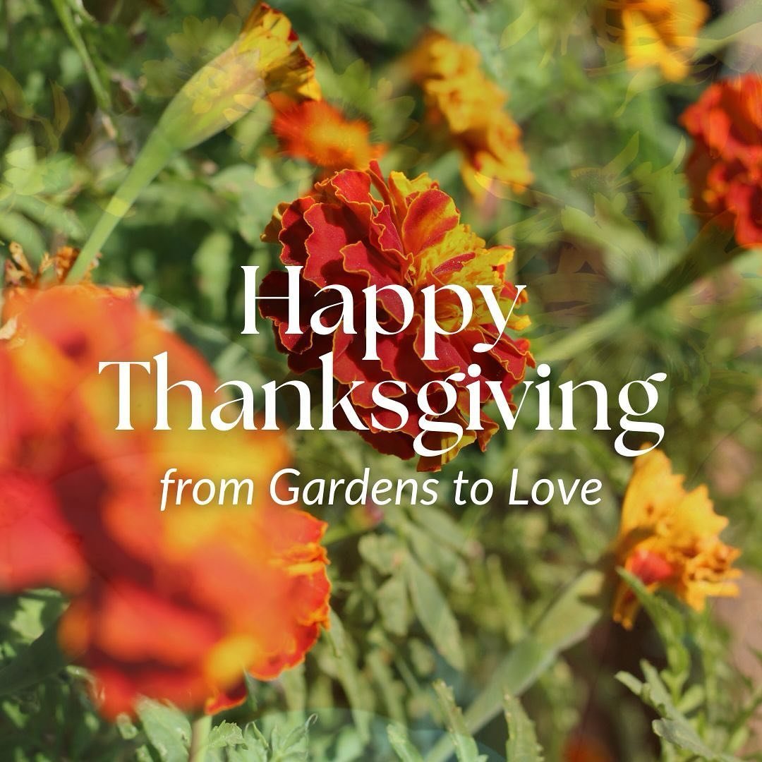 Happy Thanksgiving from all of us over here at #GardenstoLove 💛⁠
⁠
Today we are grateful for the beauty of nature and the joy it brings.