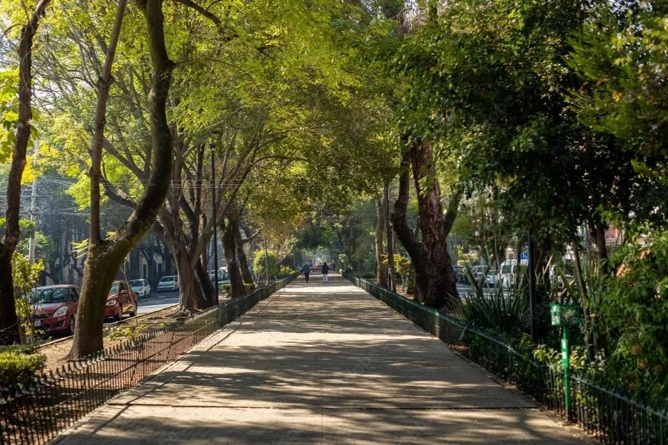 A City Breathes Through Its Trees