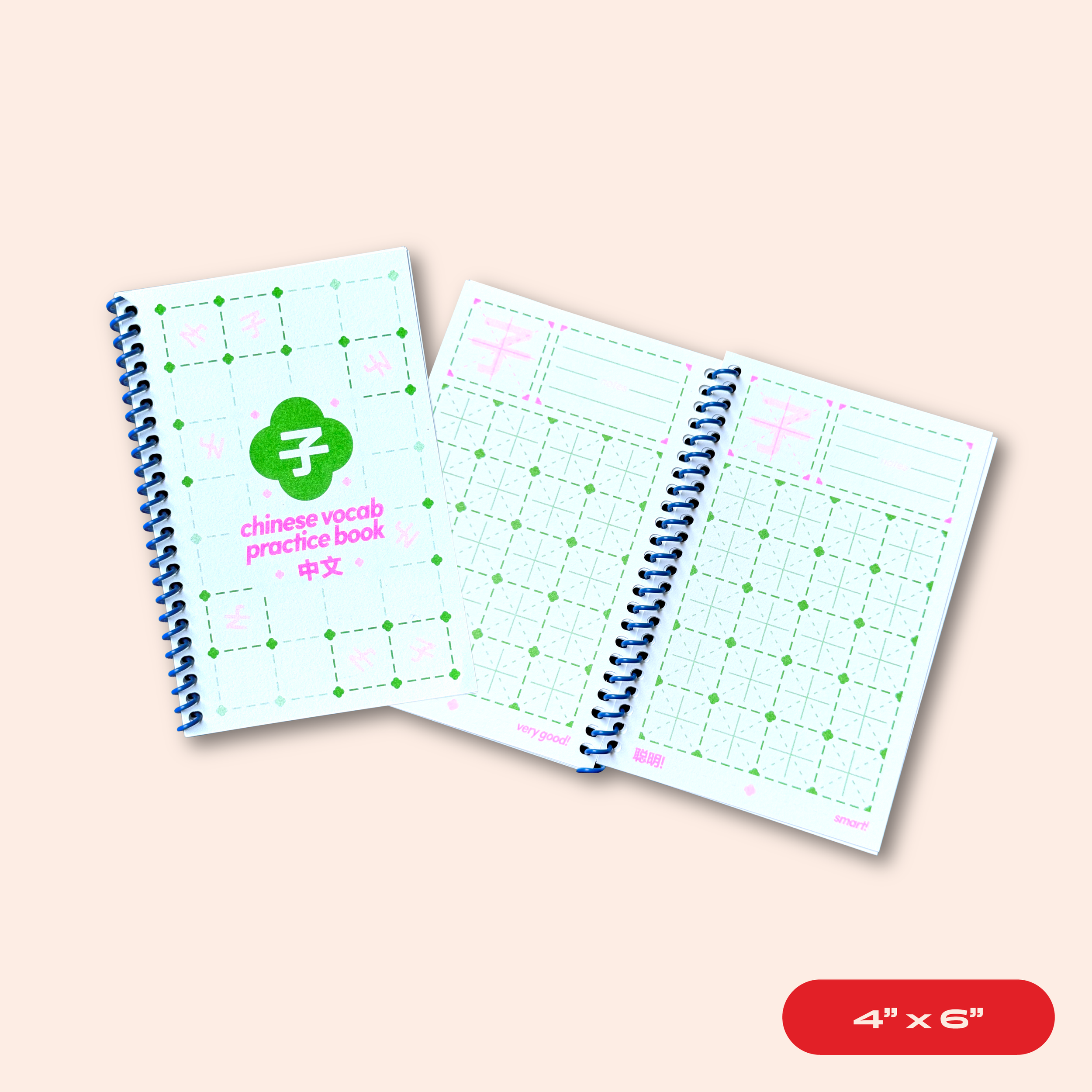 chinese language workbook ✍️