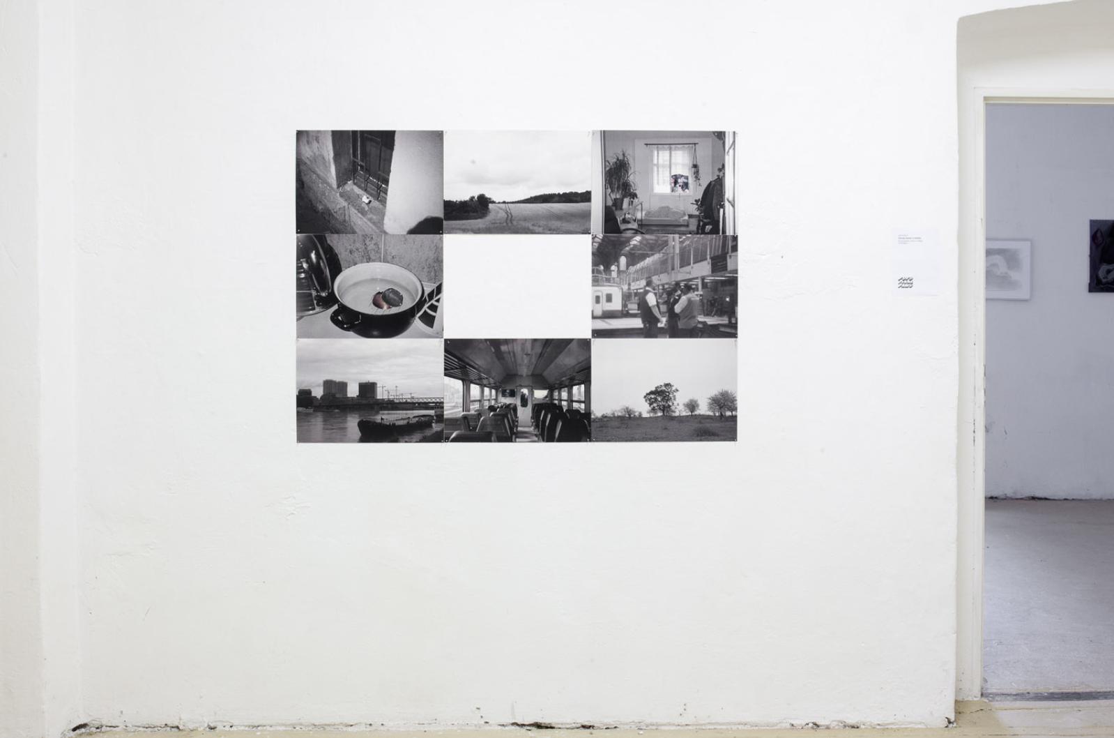 FAMU Final Bachelor Exhibition 2021

Thirsty Flower's Lullaby:
Photographic installation with polaroid collage (29 curated images)