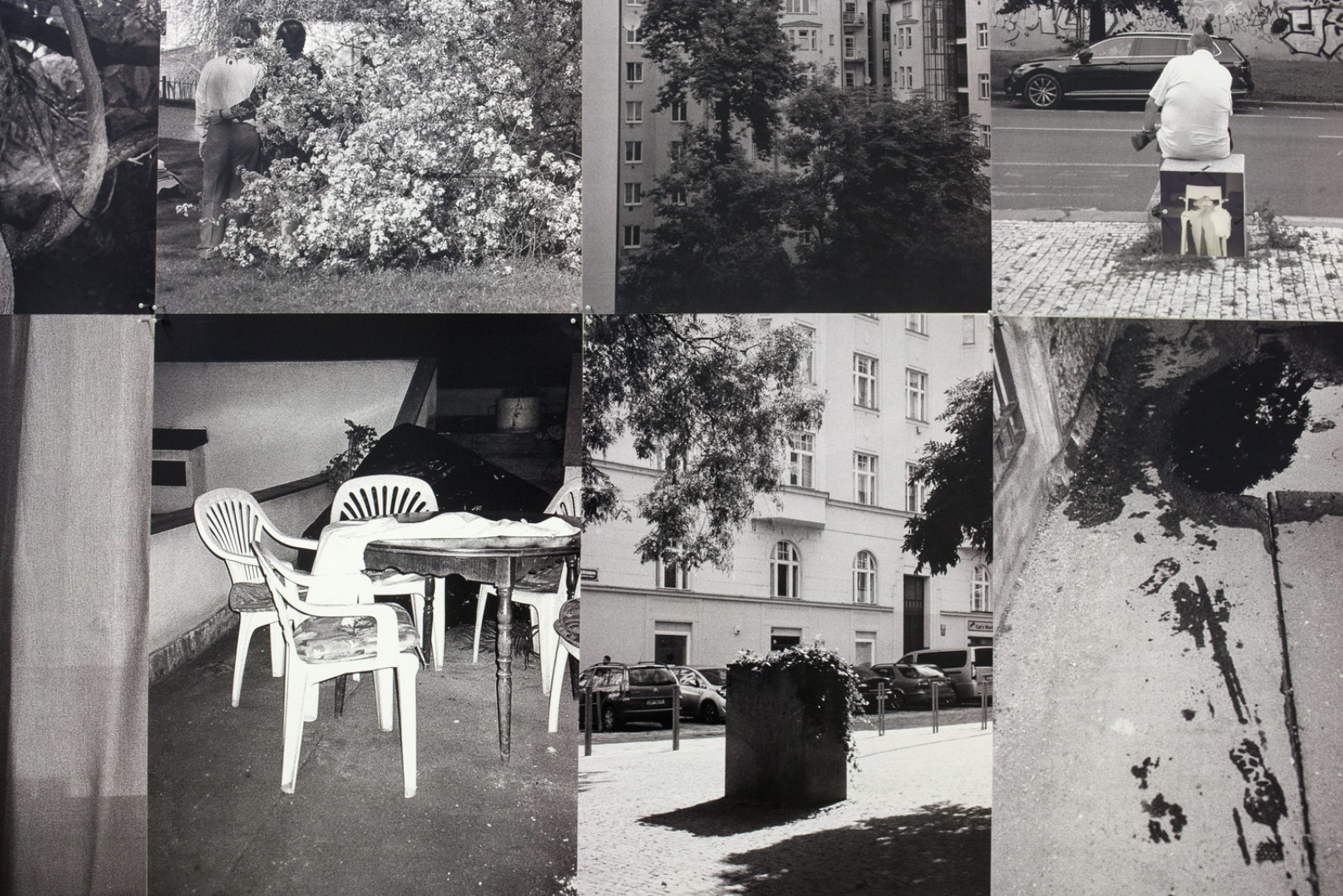 FAMU Final Bachelor Exhibition 2021

Thirsty Flower's Lullaby:
Photographic installation with polaroid collage (29 curated images)