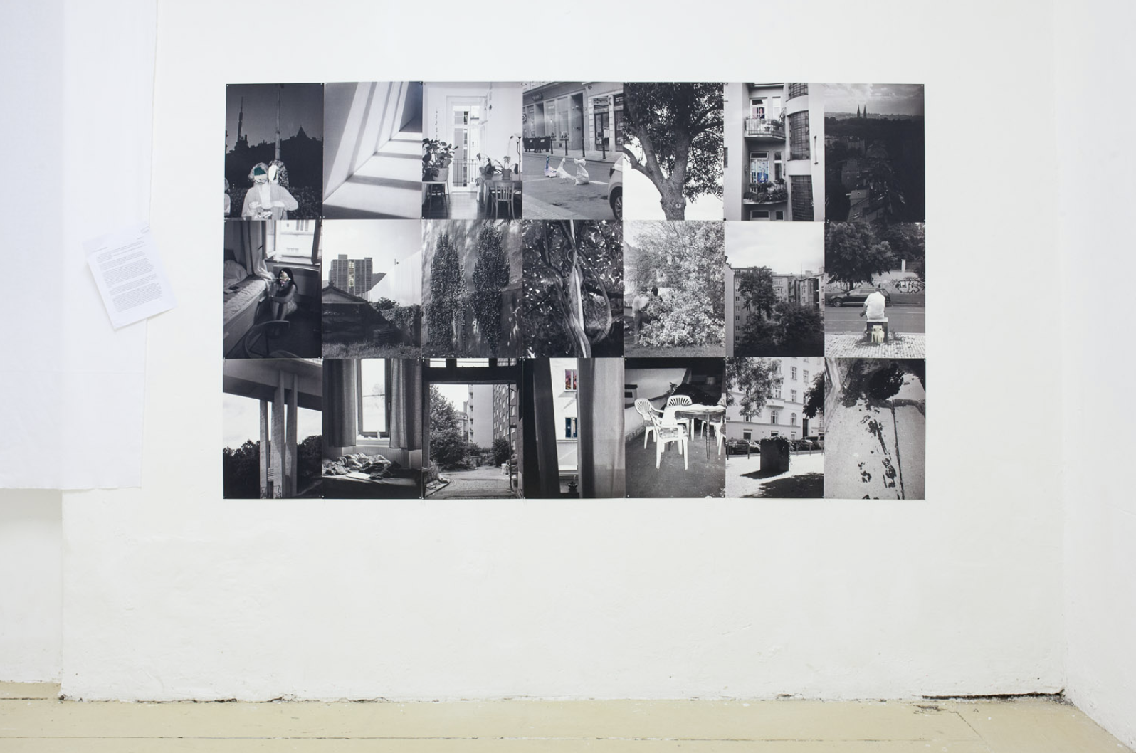 FAMU Final Bachelor Exhibition 2021

Thirsty Flower's Lullaby:
Photographic installation with polaroid collage (29 curated images)