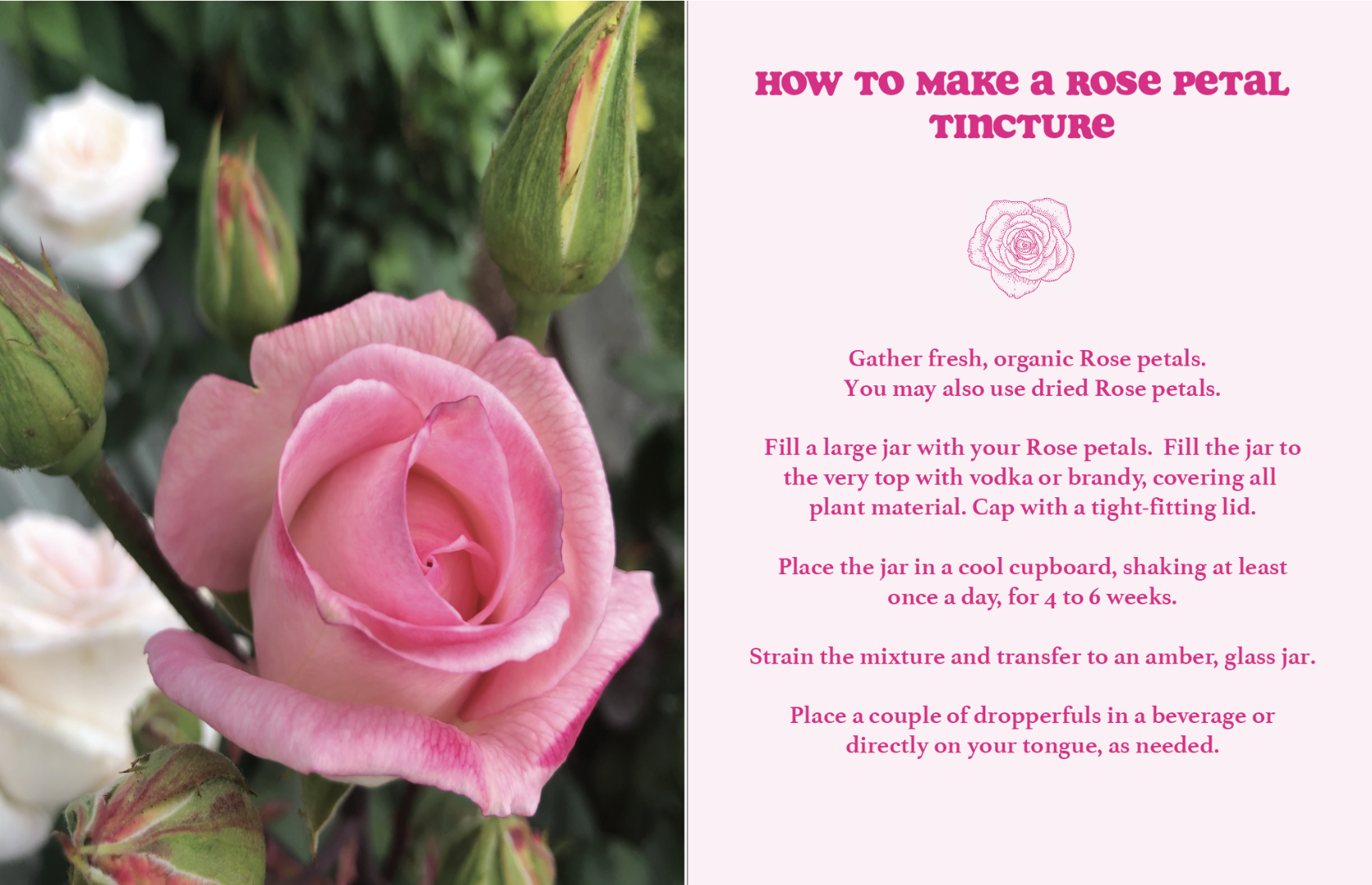 Screenshot 2024-08-09 at 3.35.30 PM.png