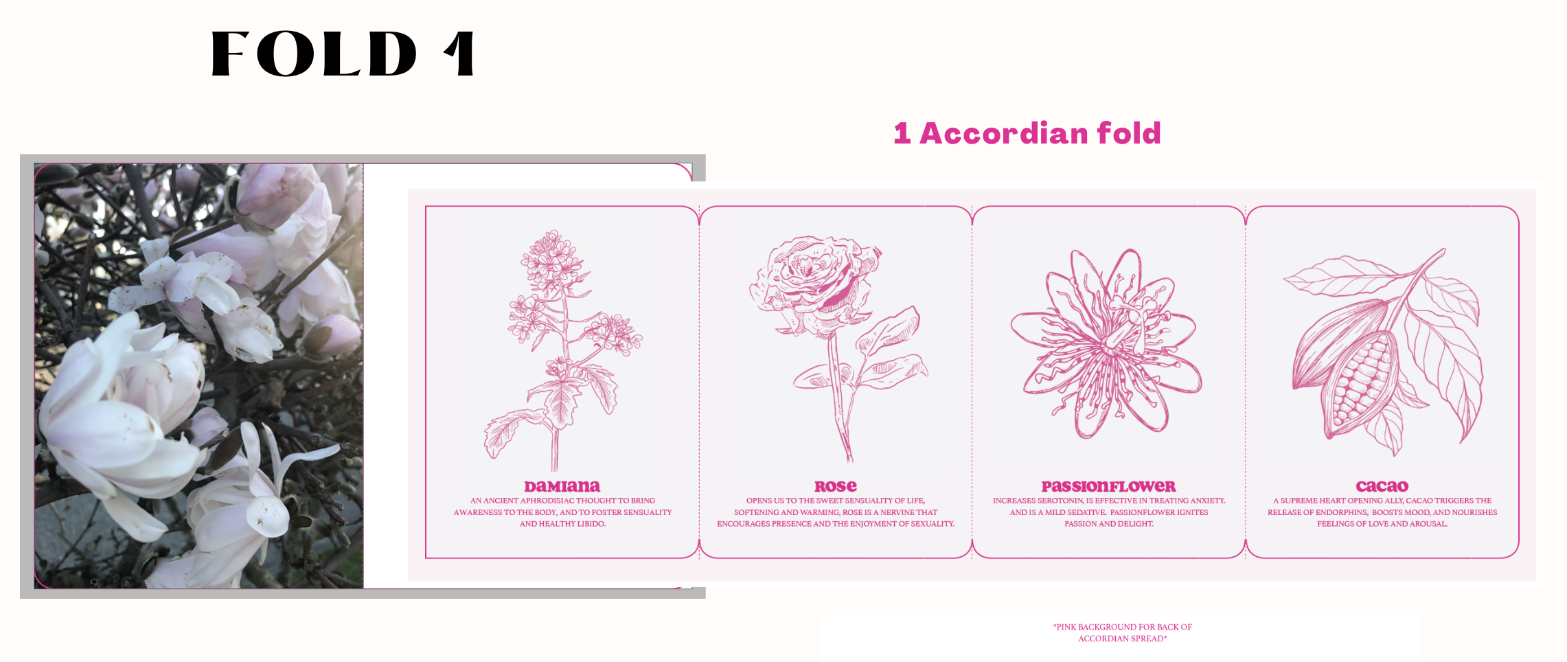 Screenshot 2024-08-09 at 3.34.10 PM.png