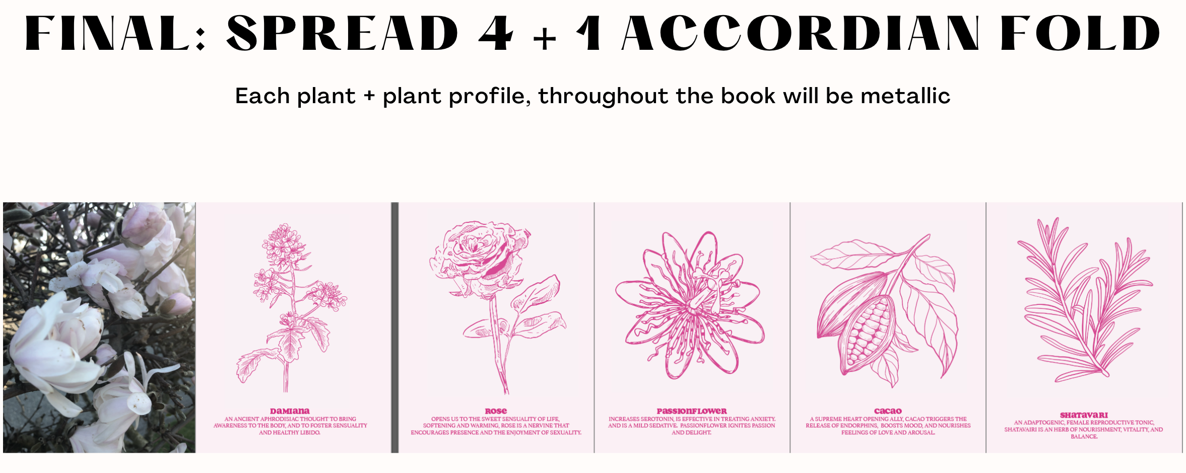 Screenshot 2024-08-09 at 3.36.31 PM.png