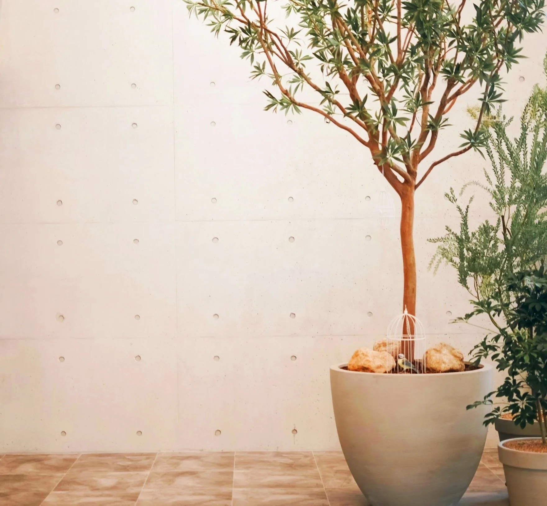 Waiting room with potted plants at Campbell Therapy in East Lansing, MI