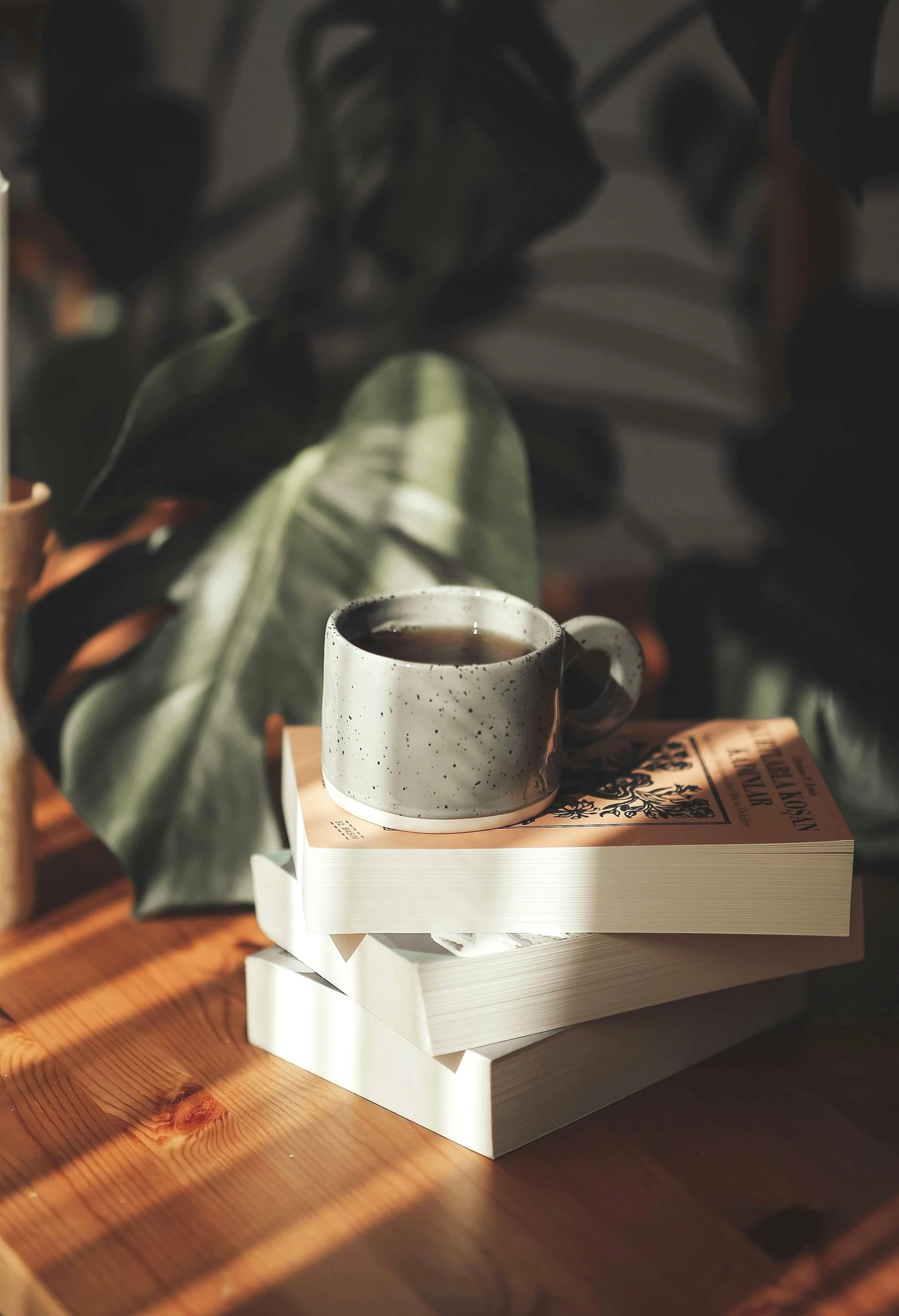 A speckled white ceramic mug filled with a dark beverage, placed on top of a stack of two white books, with sunlight casting shadows on a wooden surface.