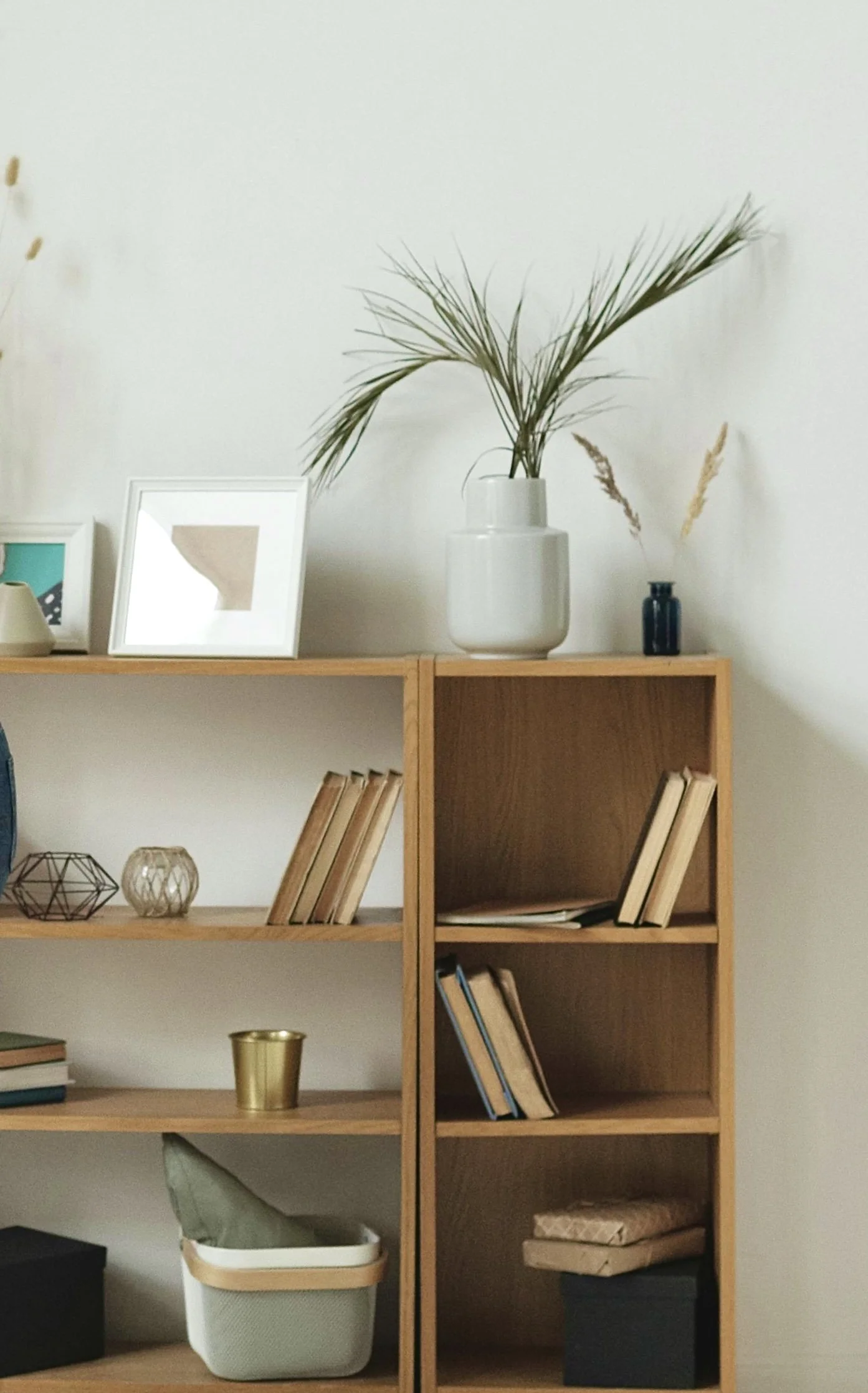 Office interior bookshelf at Campbell Therapy in East Lansing