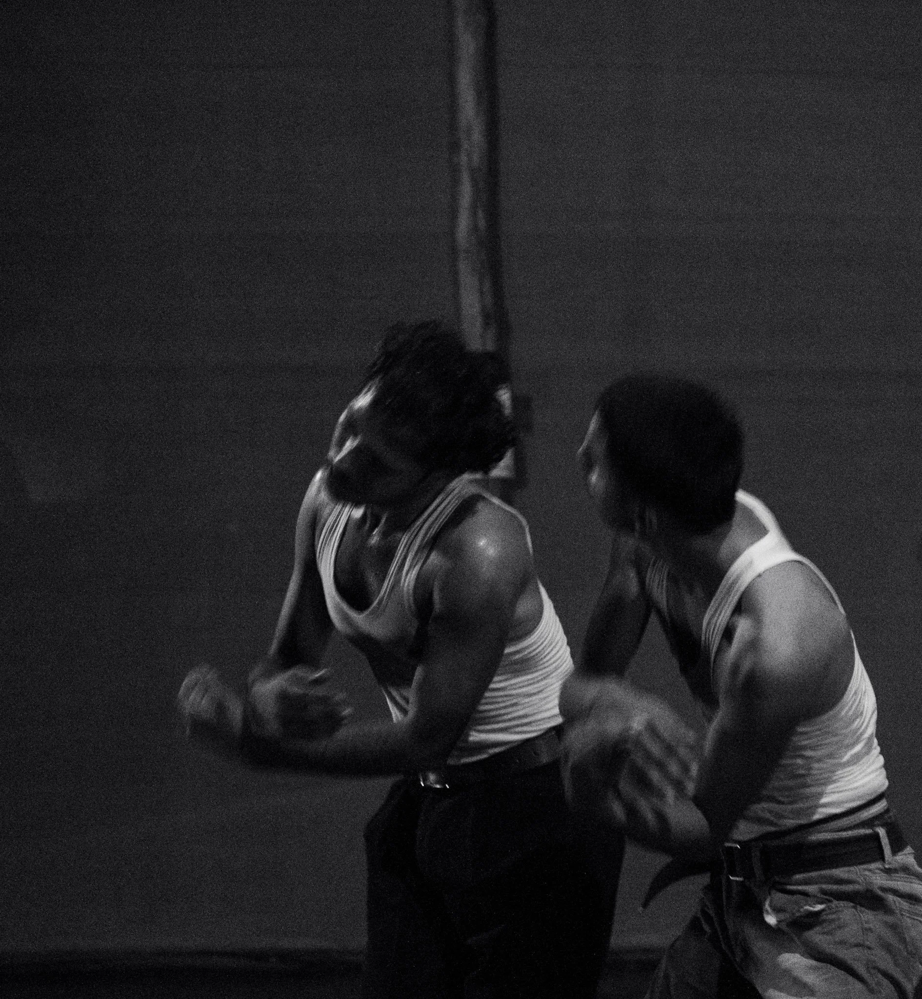 Yellow Conversations (2023)