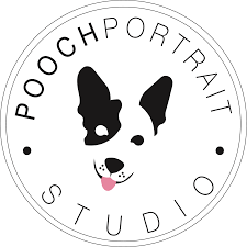 Pooch Portrait Studios Clinic