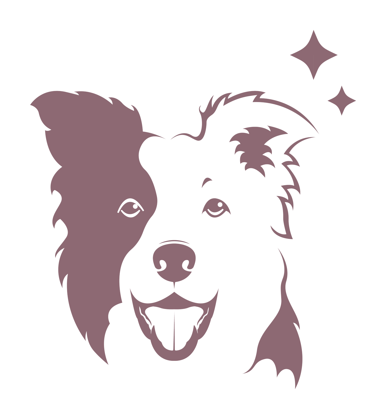 upcoming-clinics-dazzling-canines