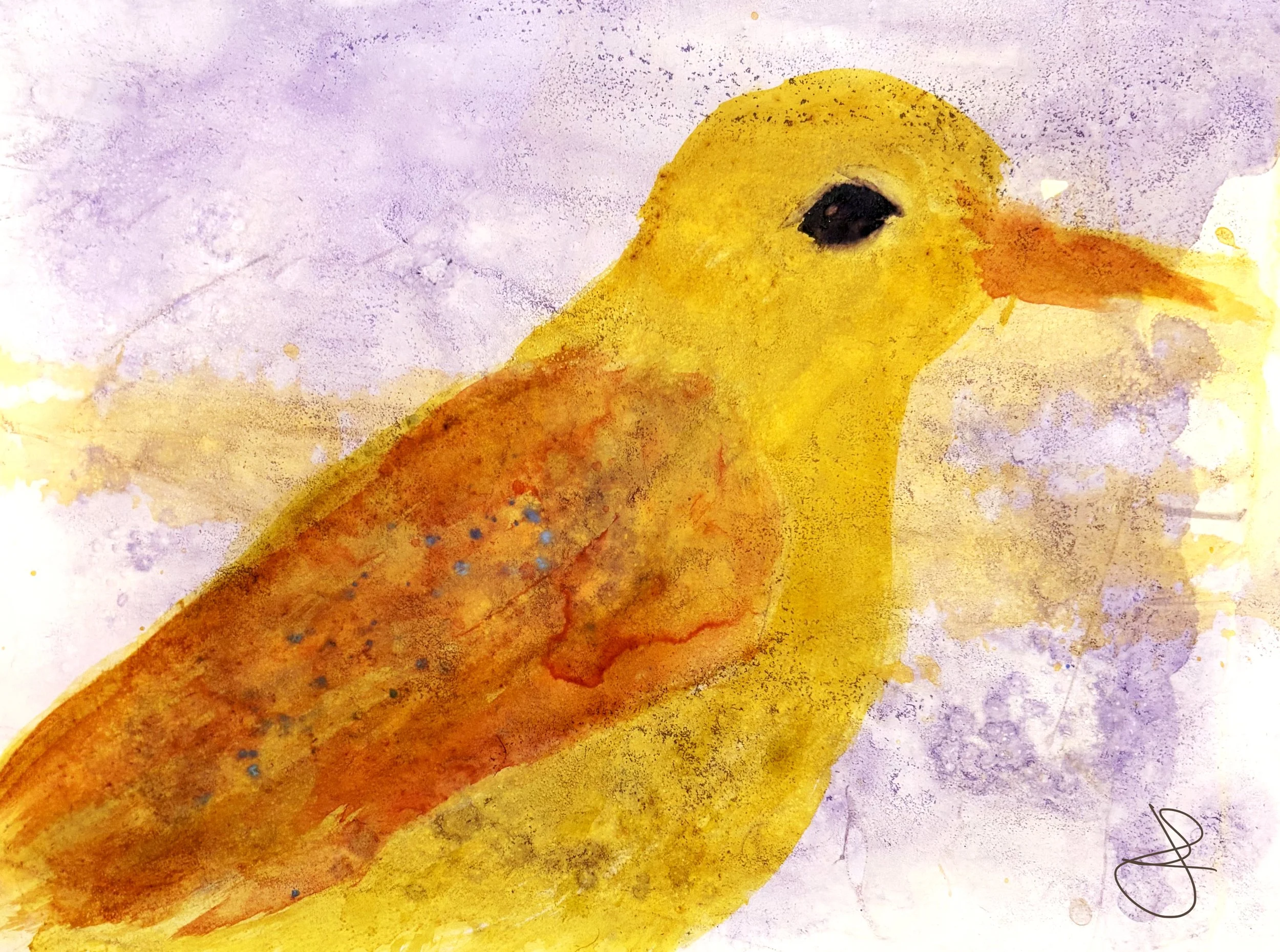 Animal Portraits